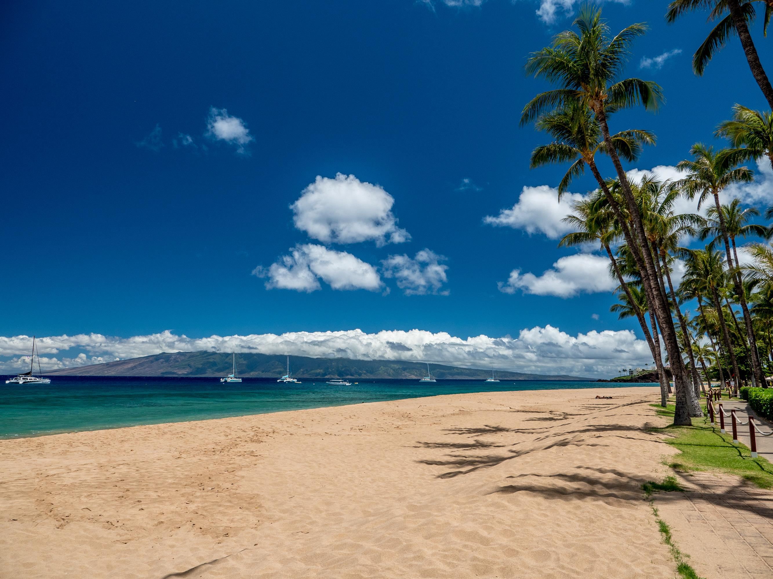 Kaanapali Alii condo # 1301, Lahaina, Hawaii - photo 2 of 25