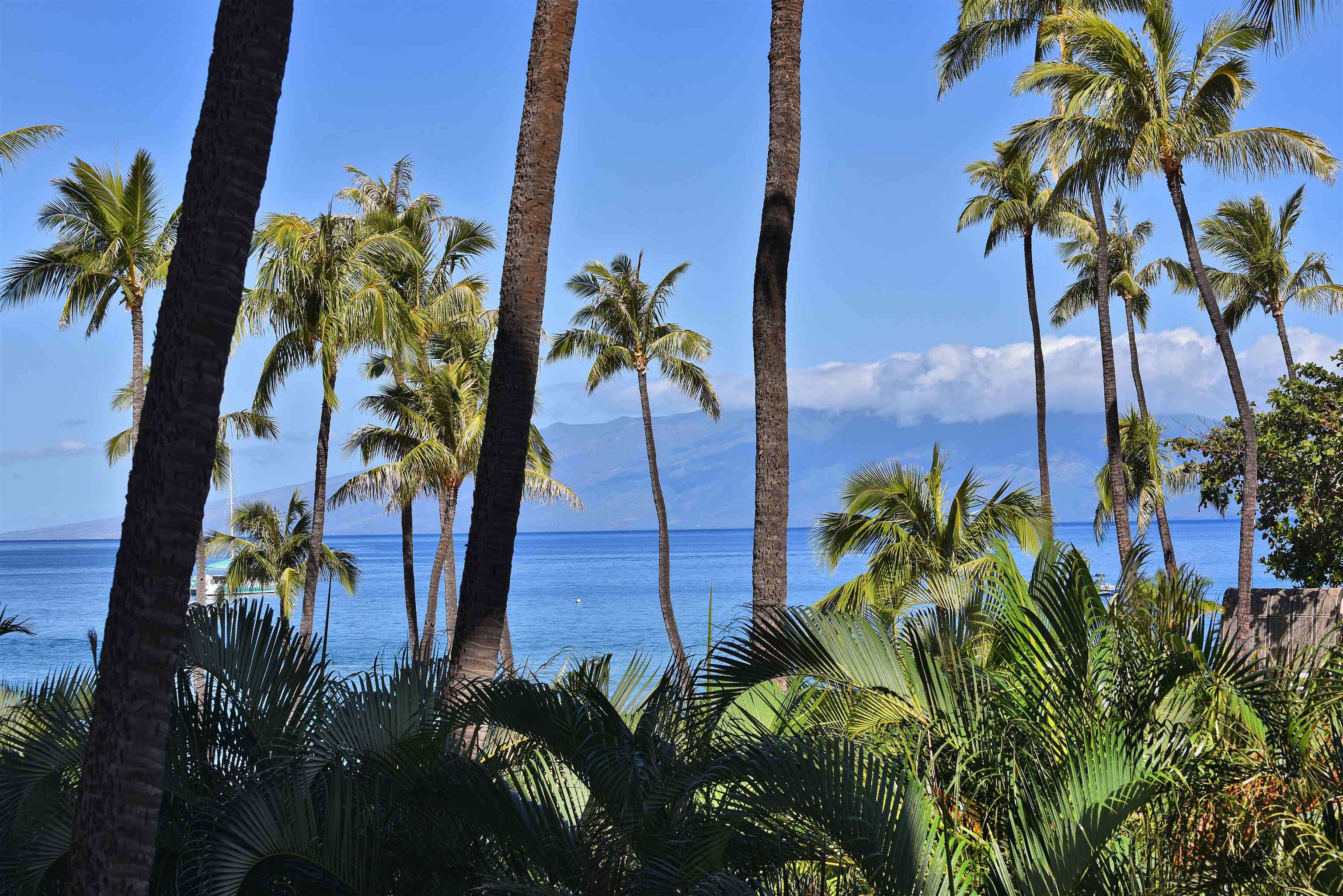 Kaanapali Alii condo # 1301, Lahaina, Hawaii - photo 11 of 25