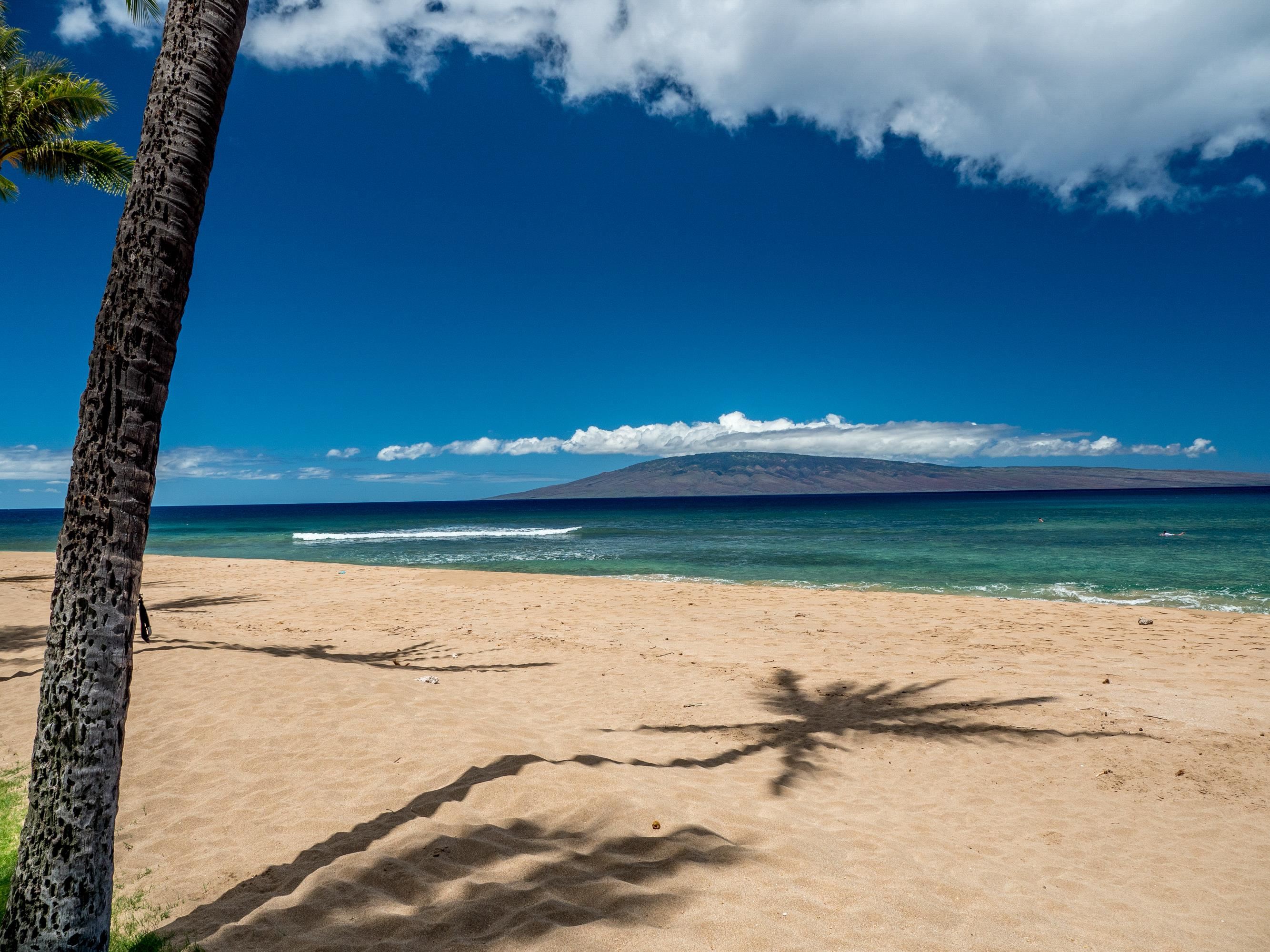 Kaanapali Alii condo # 1301, Lahaina, Hawaii - photo 23 of 25