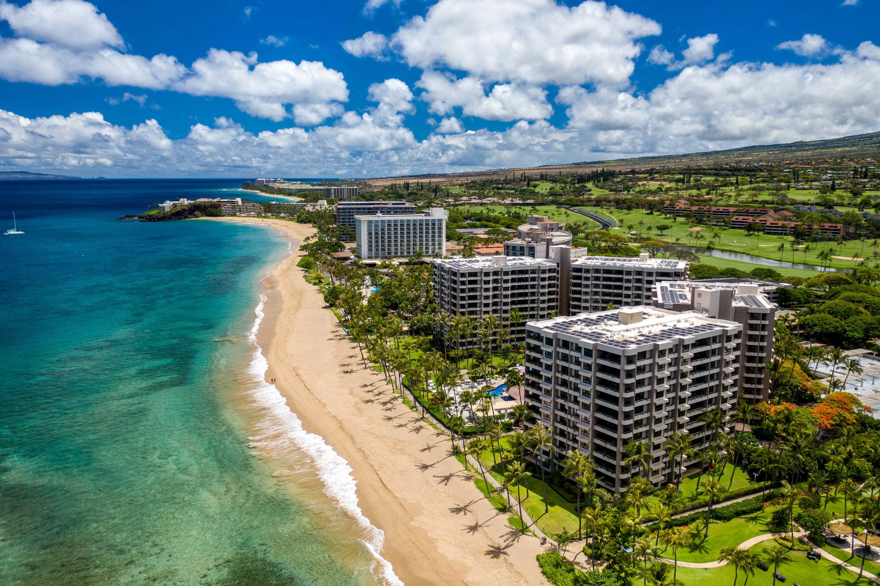 Kaanapali Alii condo # 1301, Lahaina, Hawaii - photo 25 of 25