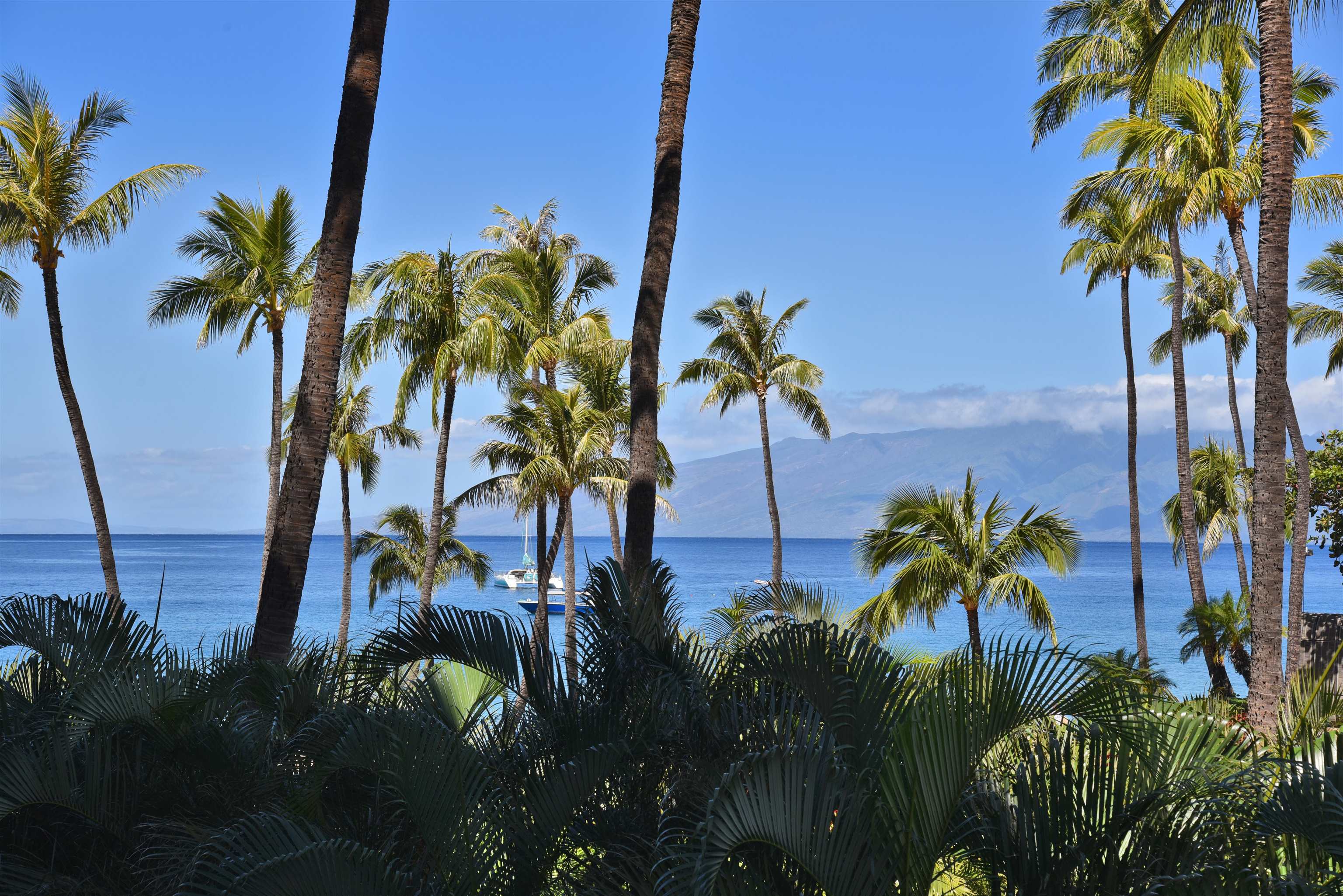 Kaanapali Alii condo # 1301, Lahaina, Hawaii - photo 7 of 25