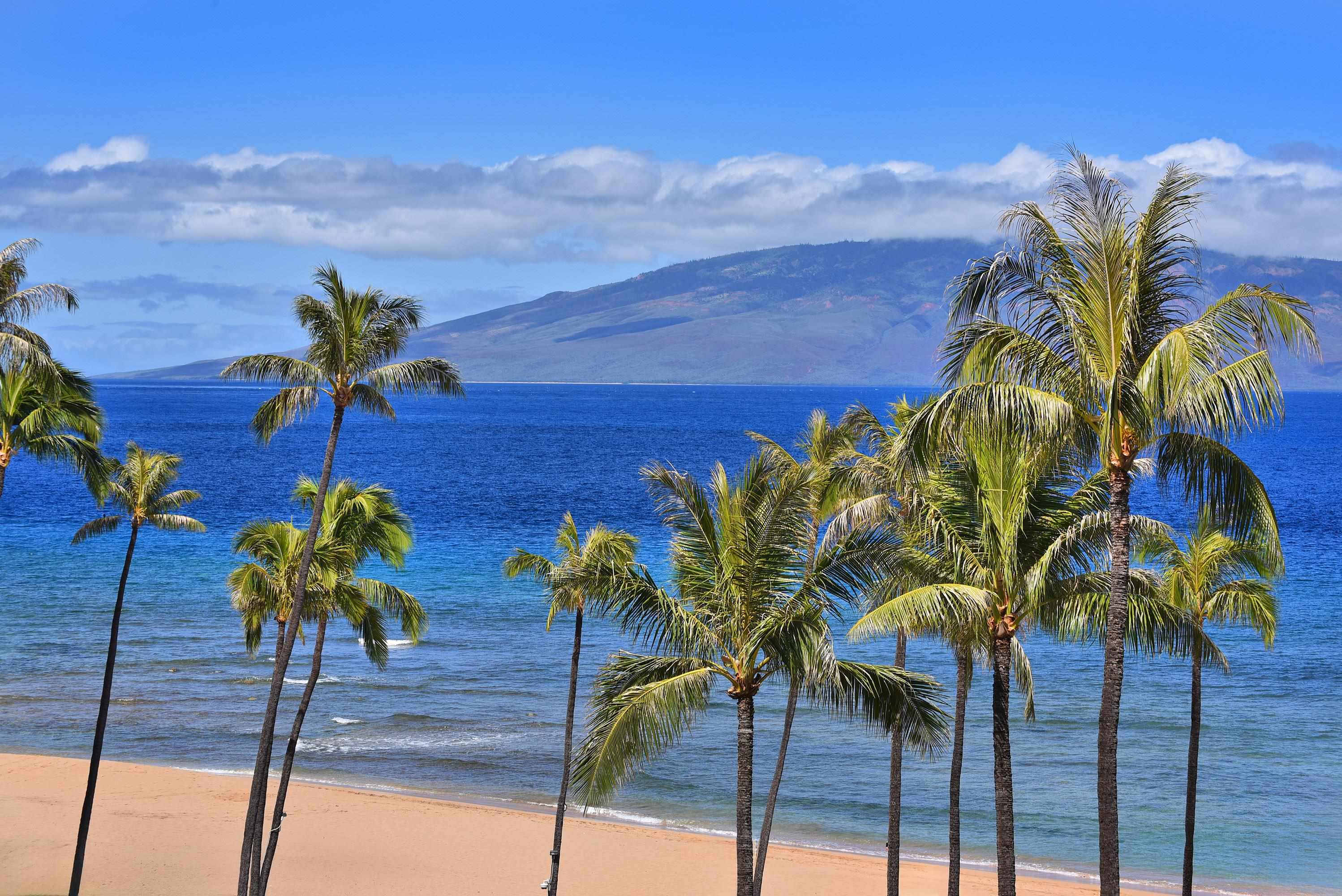 Kaanapali Alii condo # 1702, Lahaina, Hawaii - photo 36 of 45