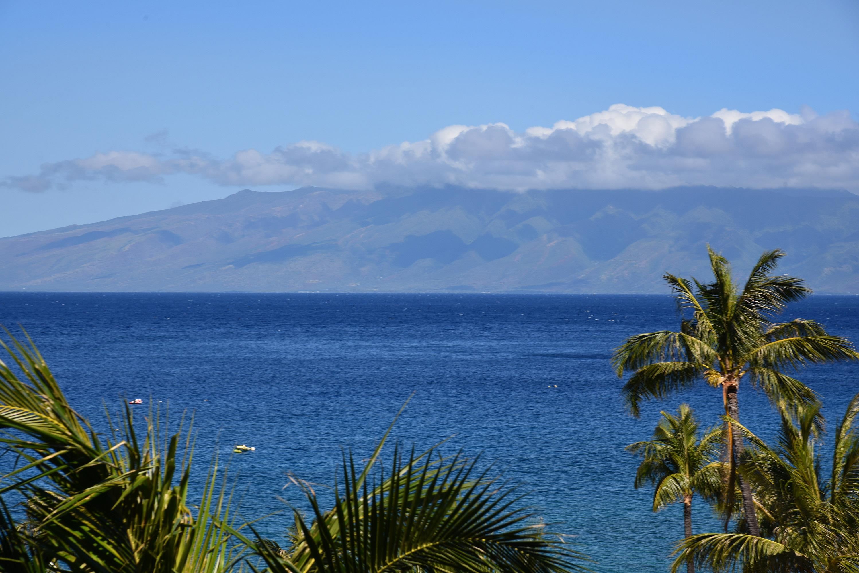 Kaanapali Alii condo # 1-801, Lahaina, Hawaii - photo 24 of 43