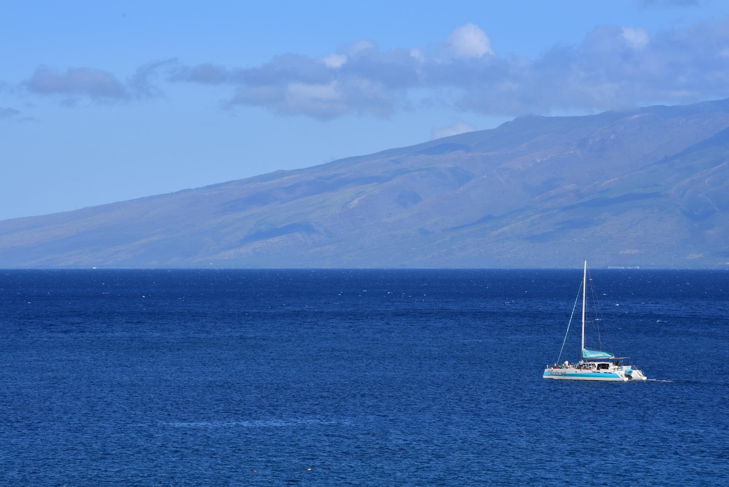 Kaanapali Alii condo # 1-801, Lahaina, Hawaii - photo 4 of 43