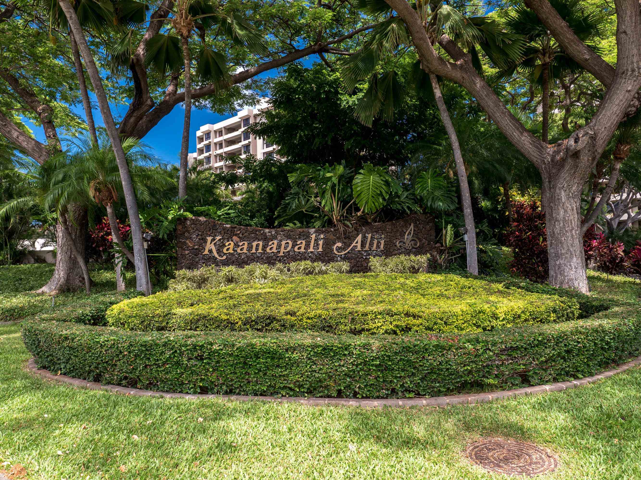 Kaanapali Alii condo # 1-801, Lahaina, Hawaii - photo 36 of 43