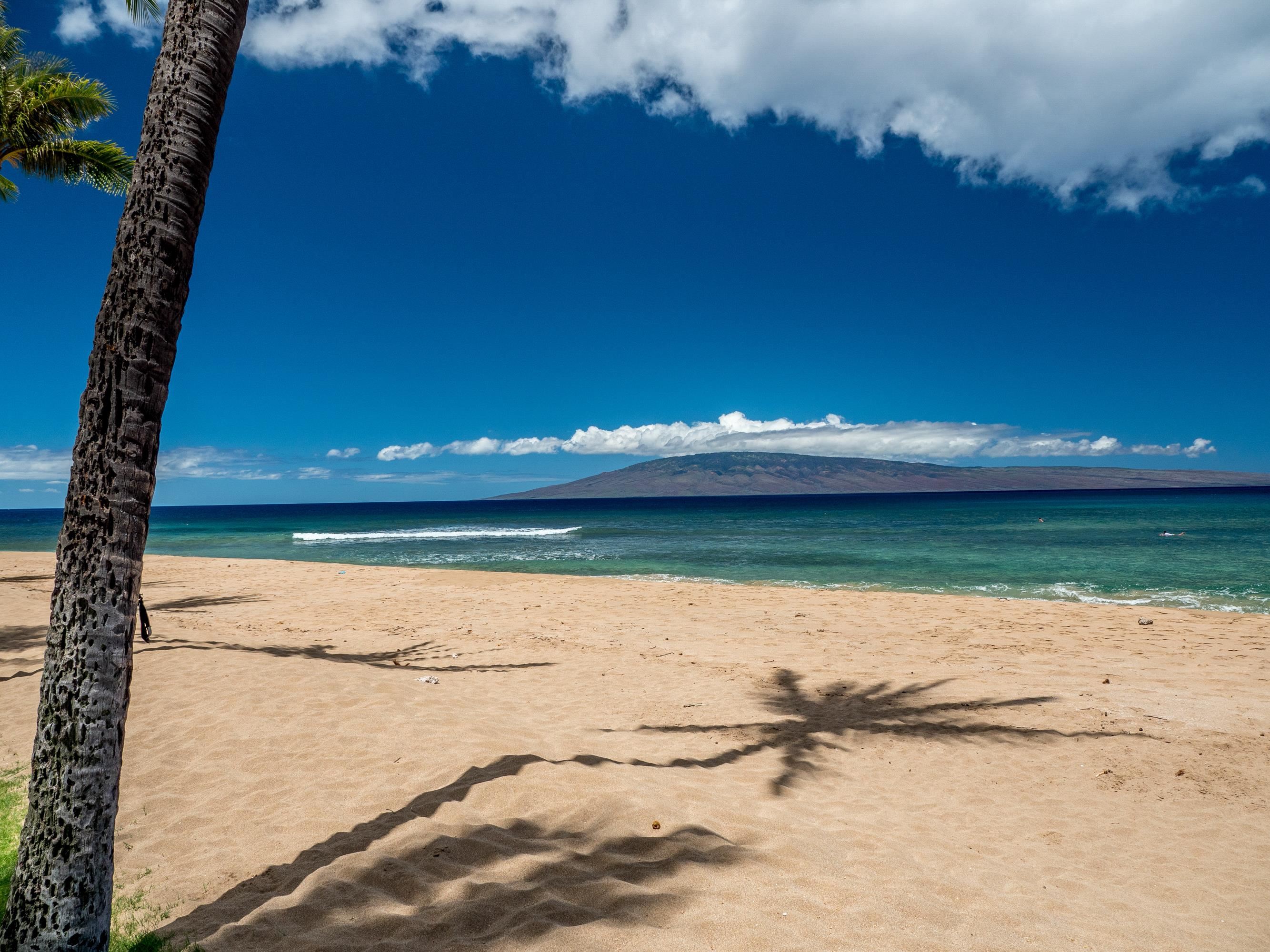 Kaanapali Alii condo # 1-801, Lahaina, Hawaii - photo 27 of 27