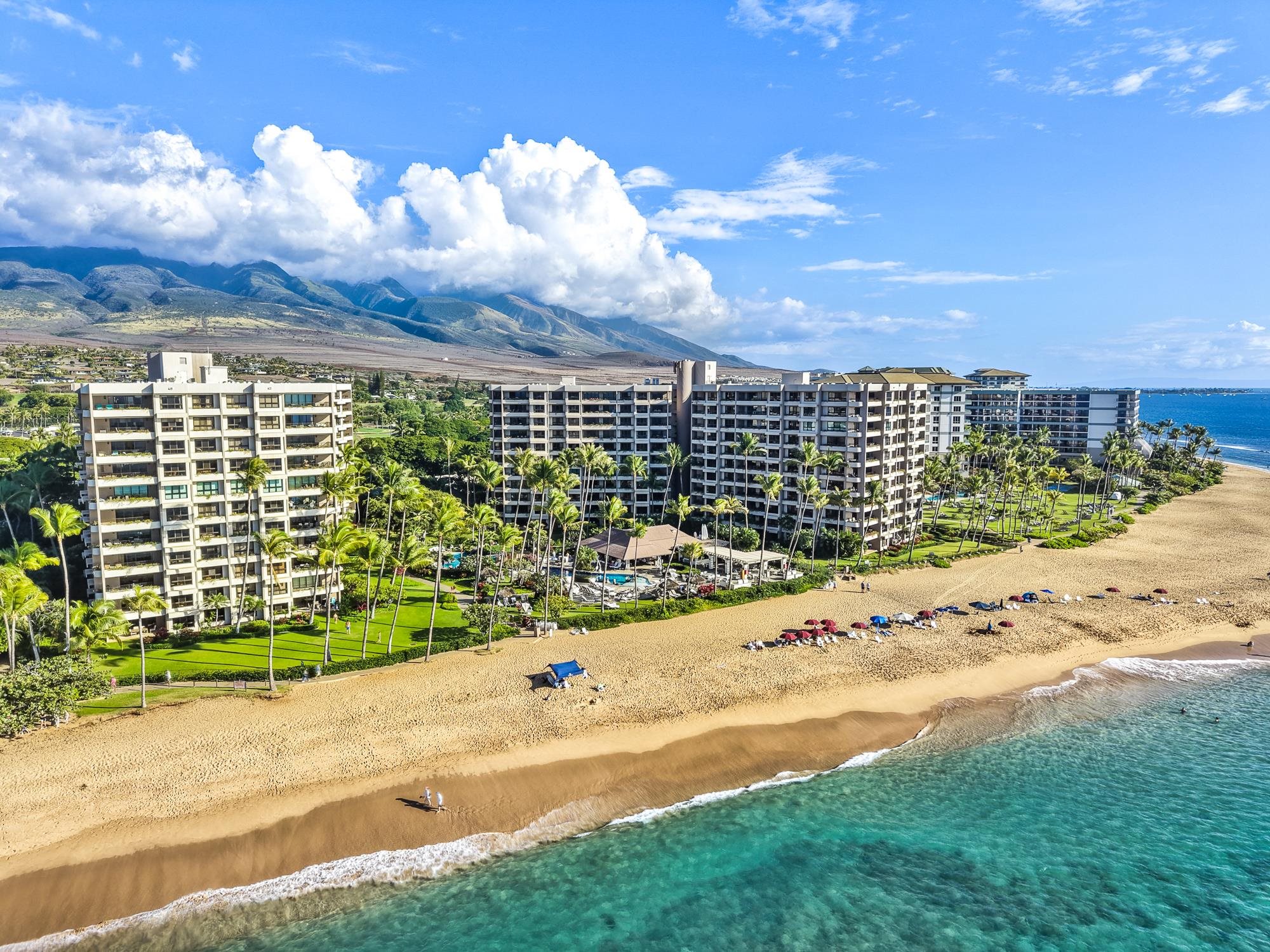 Kaanapali Alii condo # 1-904, Lahaina, Hawaii - photo 40 of 50