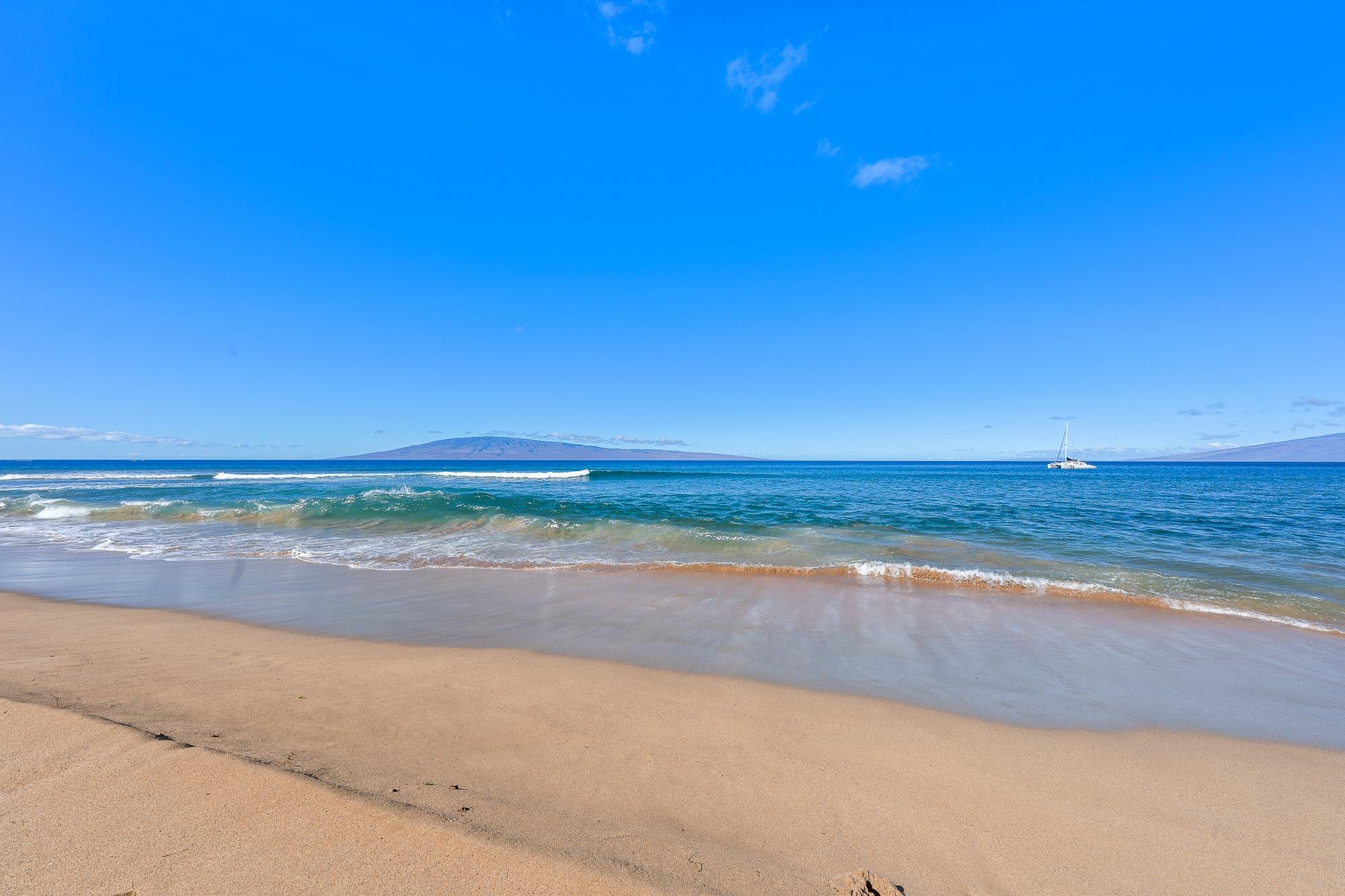 Kaanapali Alii condo # 1-904, Lahaina, Hawaii - photo 49 of 50
