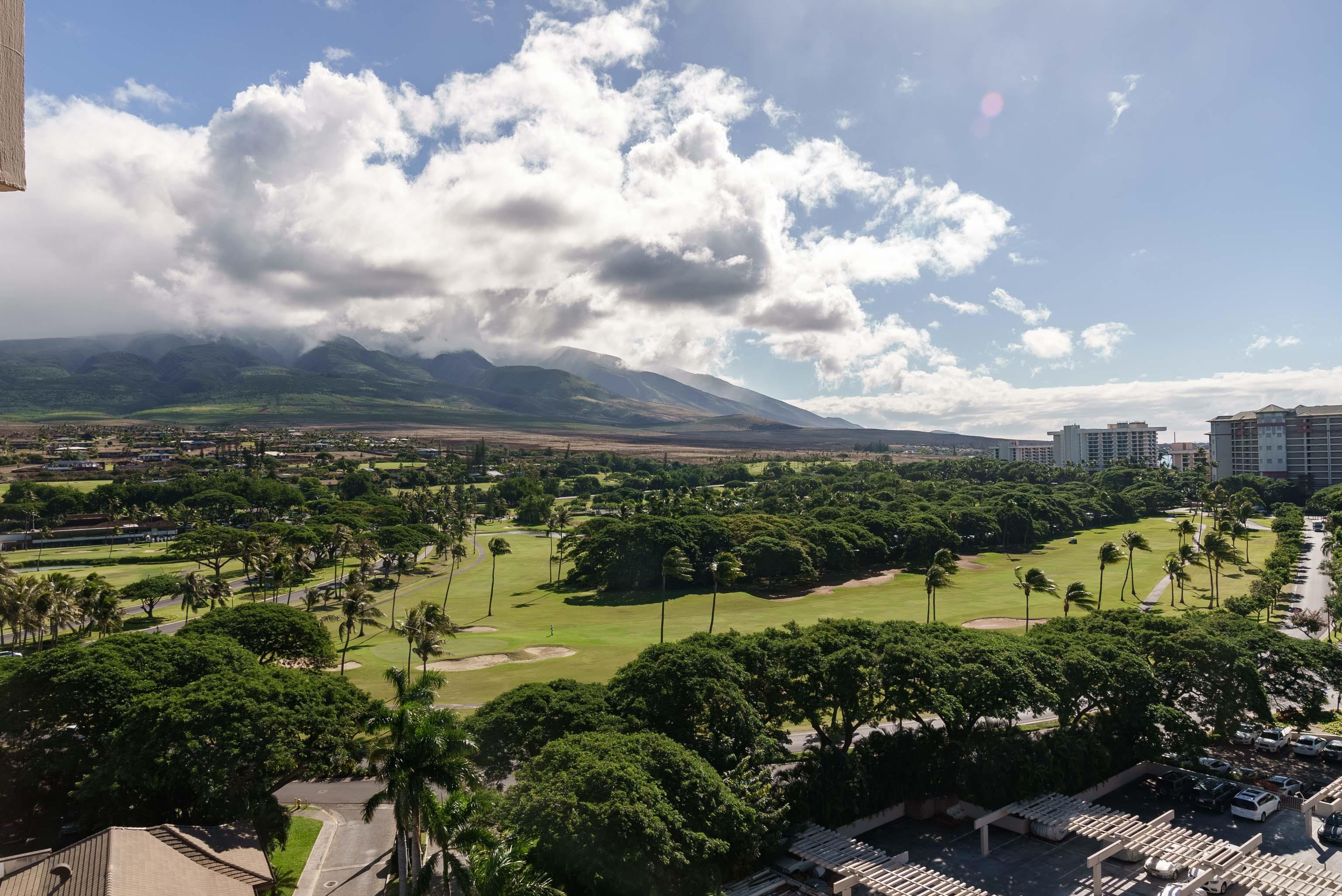 Kaanapali Alii condo # 2-1106, Lahaina, Hawaii - photo 29 of 50