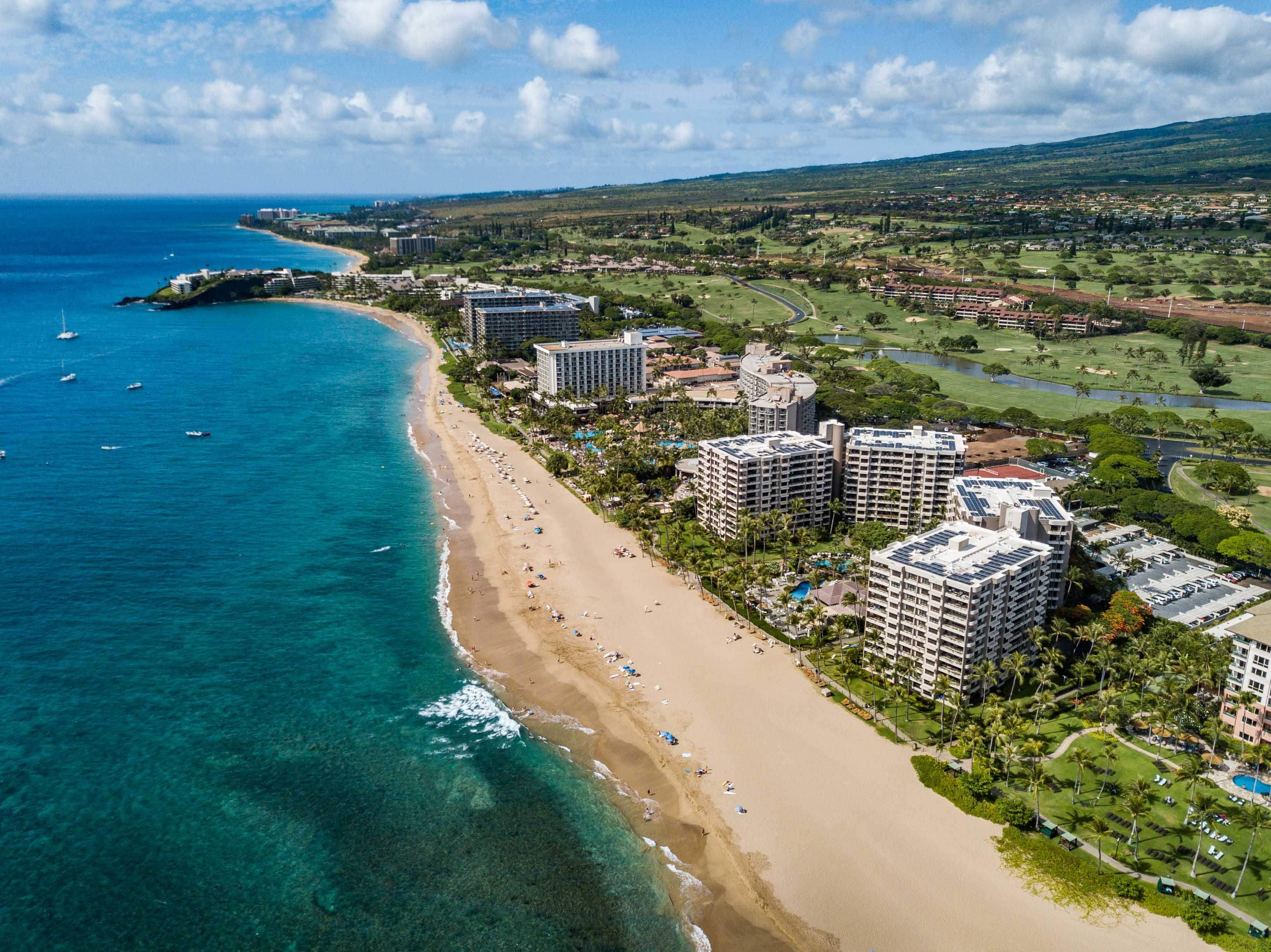Kaanapali Alii condo # 2-1106, Lahaina, Hawaii - photo 39 of 50