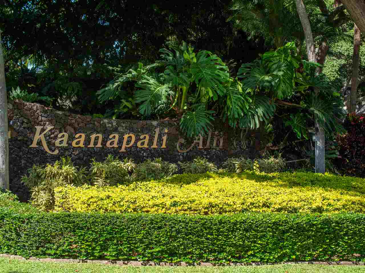 Kaanapali Alii condo # 212, Lahaina, Hawaii - photo 29 of 30