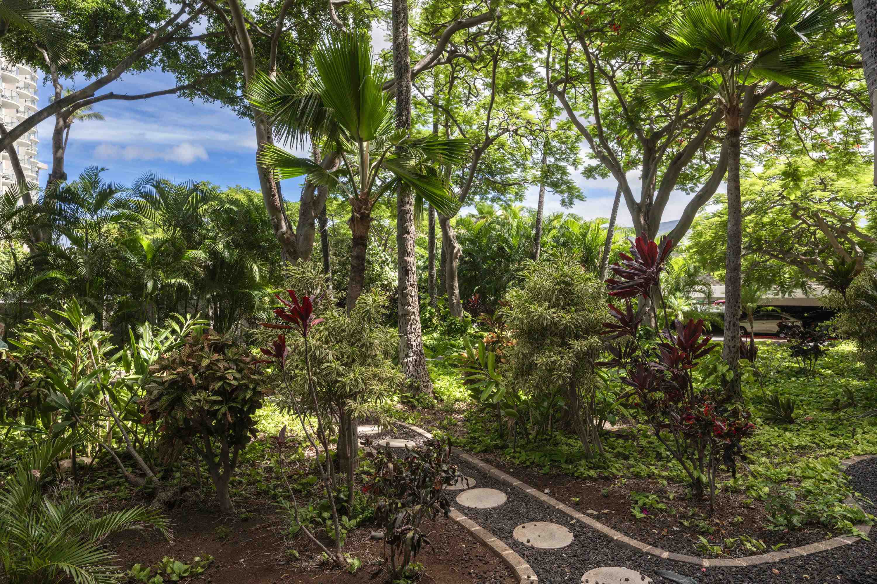 Kaanapali Alii condo # 212, Lahaina, Hawaii - photo 16 of 34