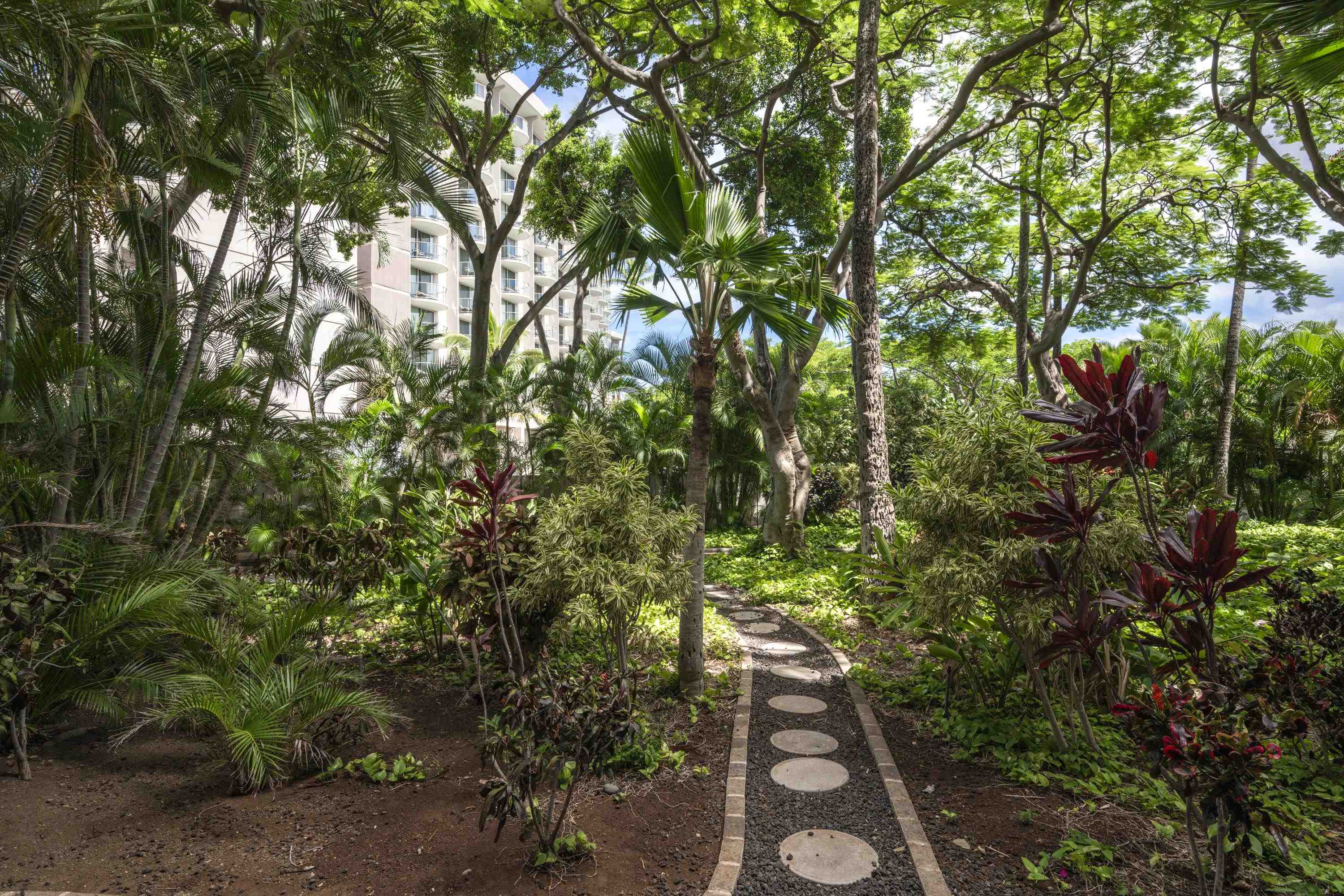 Kaanapali Alii condo # 212, Lahaina, Hawaii - photo 17 of 34