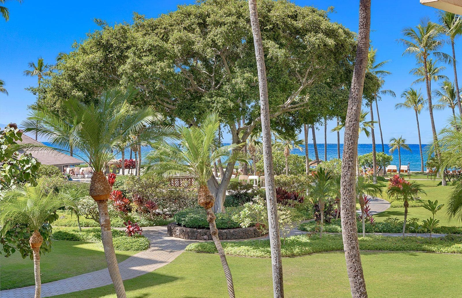 Kaanapali Alii condo # 2-205, Lahaina, Hawaii - photo 2 of 36