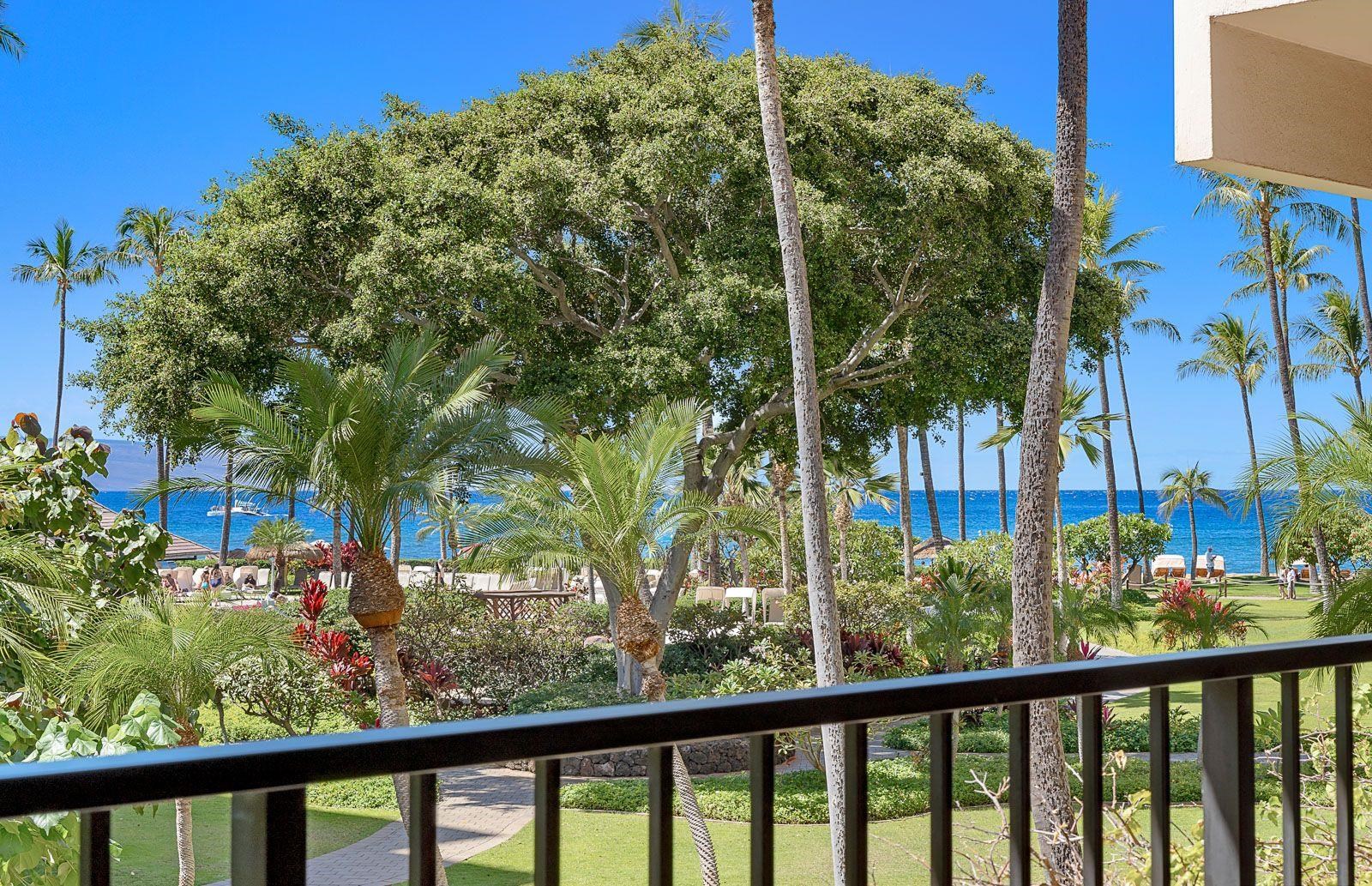 Kaanapali Alii condo # 2-205, Lahaina, Hawaii - photo 28 of 36