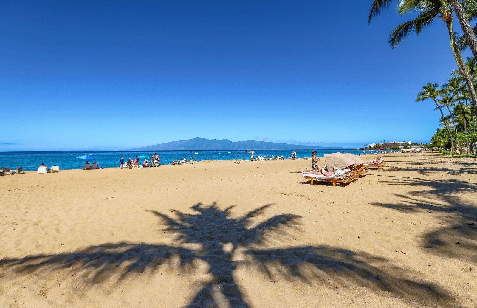 Kaanapali Alii condo # 2-205, Lahaina, Hawaii - photo 31 of 36