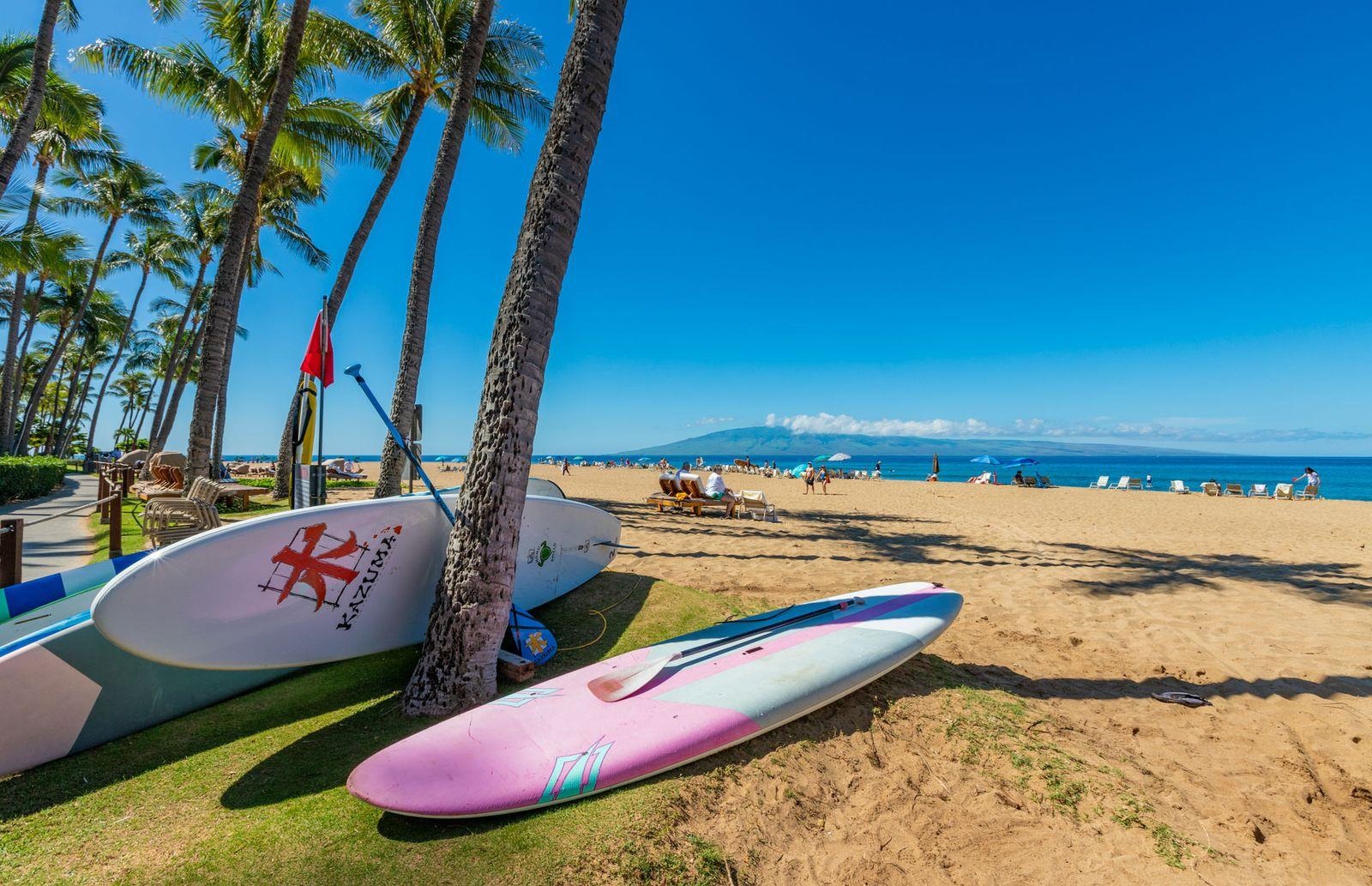 Kaanapali Alii condo # 2-205, Lahaina, Hawaii - photo 32 of 36