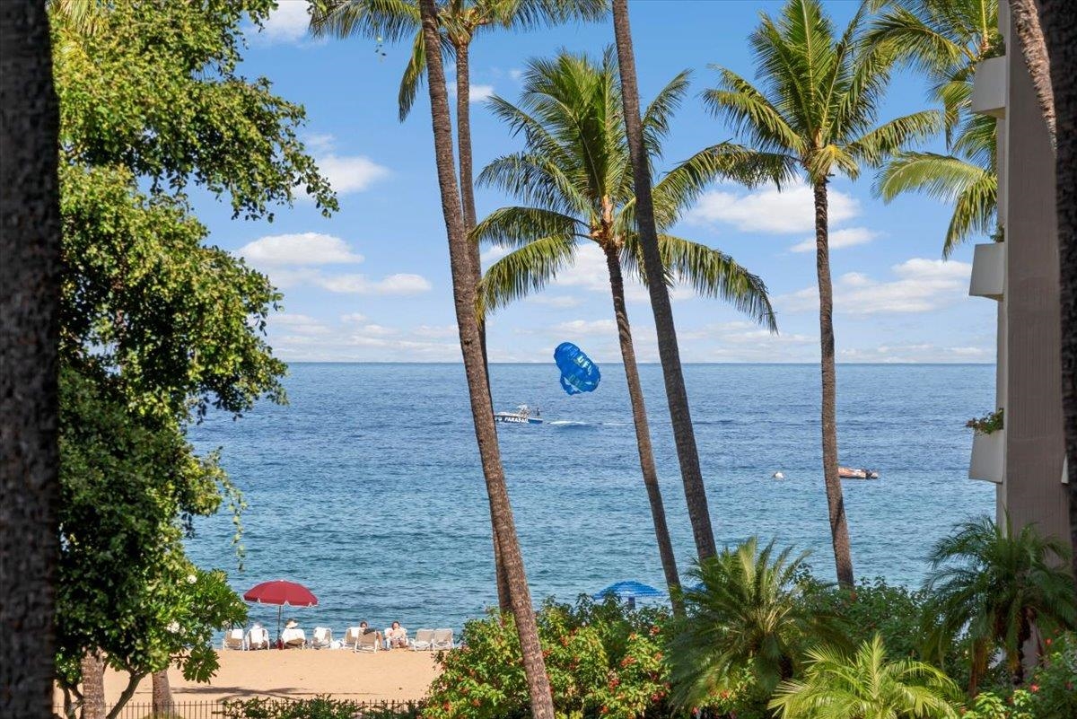 Kaanapali Alii condo # 2-305, Lahaina, Hawaii - photo 17 of 26