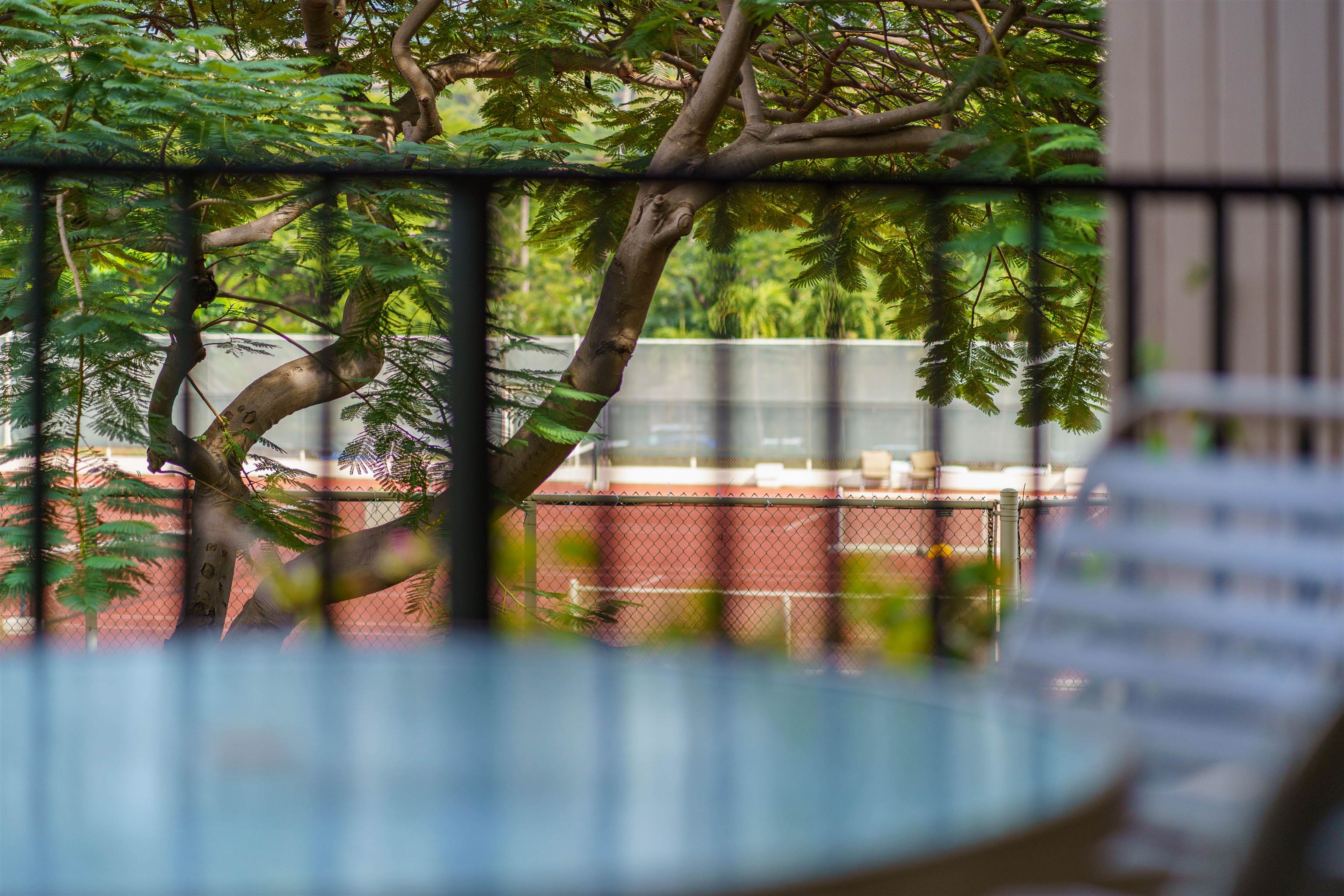 Kaanapali Alii condo # 2306, Lahaina, Hawaii - photo 2 of 18