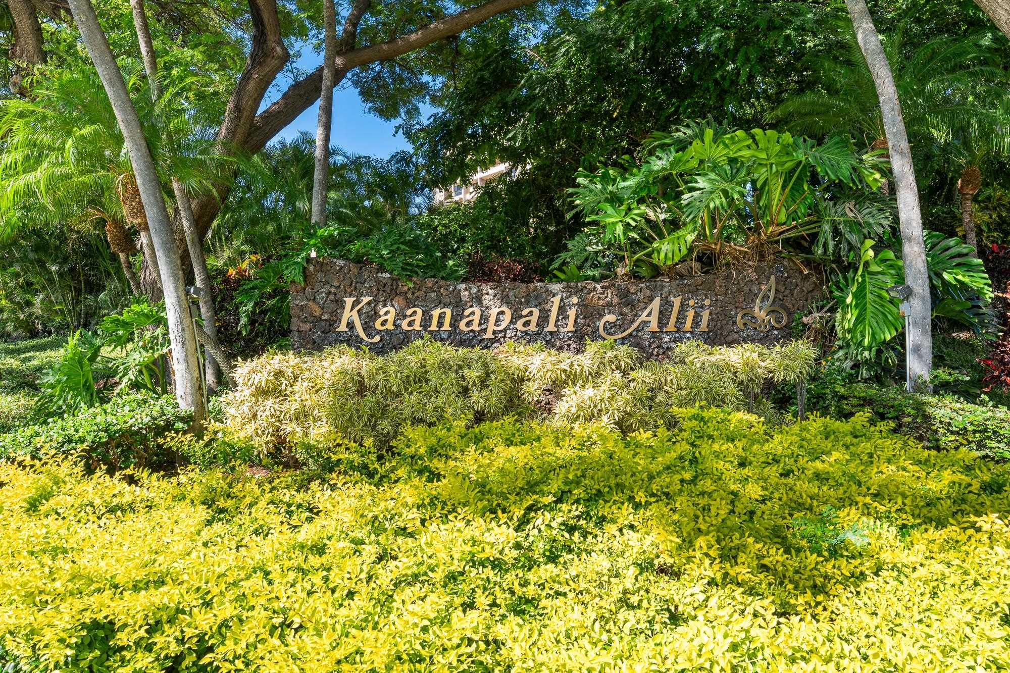 Kaanapali Alii condo # 2-401, Lahaina, Hawaii - photo 29 of 29