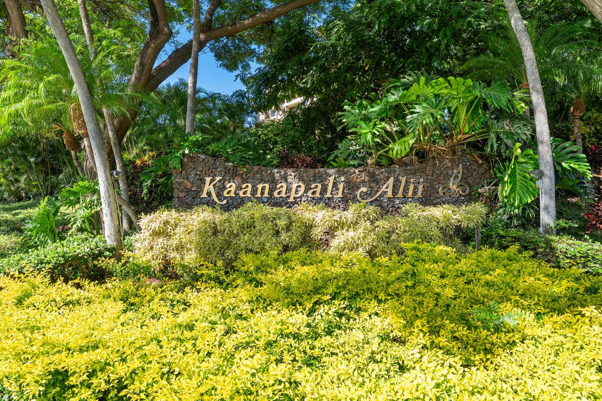 Kaanapali Alii condo # 2-501, Lahaina, Hawaii - photo 46 of 46