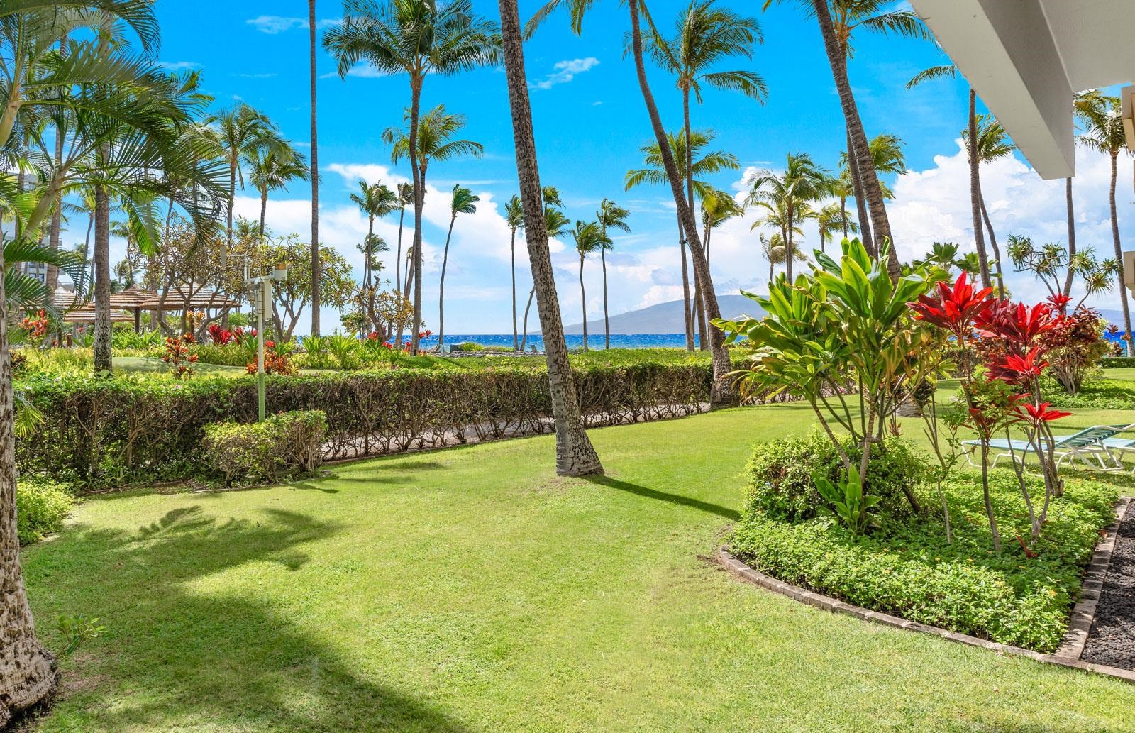 Kaanapali Alii condo # 3-102, Lahaina, Hawaii - photo 17 of 43