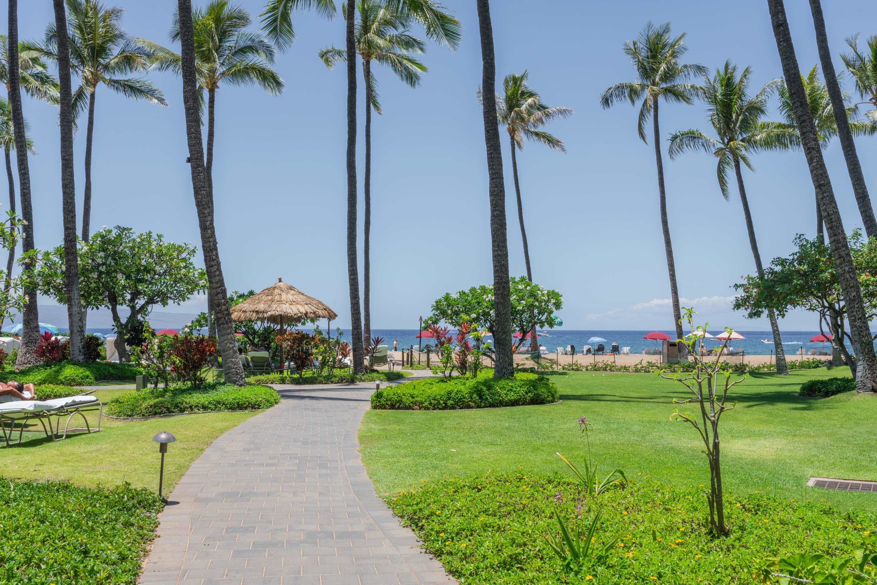 Kaanapali Alii condo # 3-102, Lahaina, Hawaii - photo 43 of 43