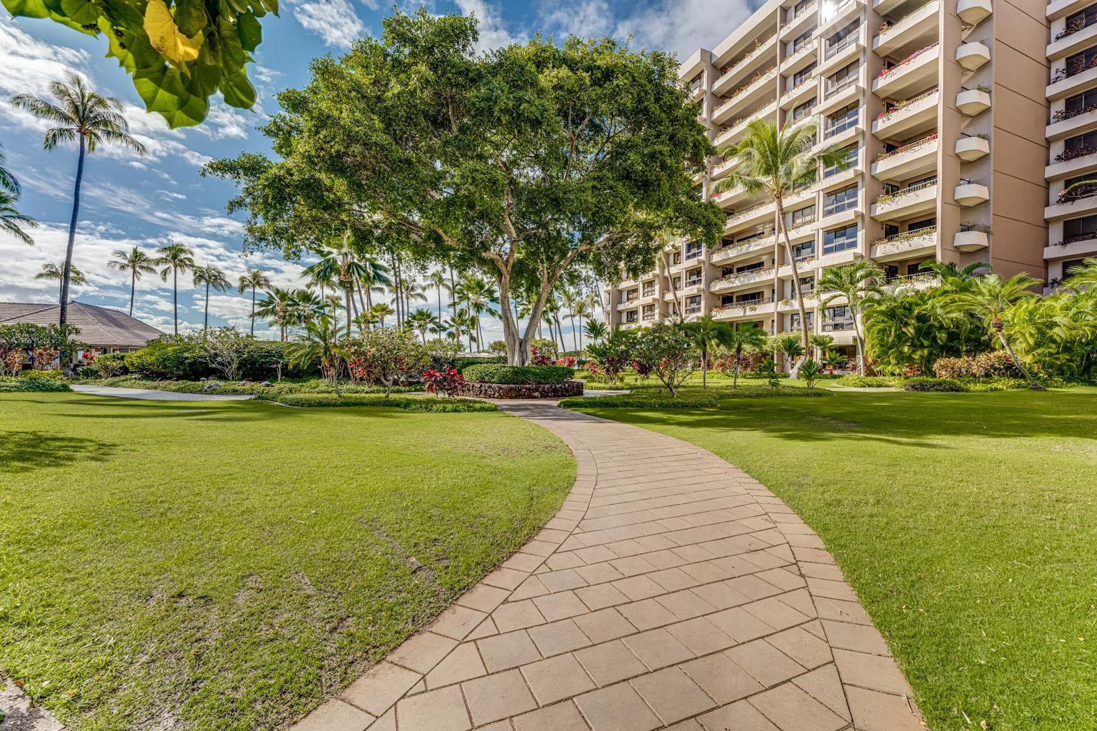 Kaanapali Alii condo # 31102, Lahaina, Hawaii - photo 37 of 49