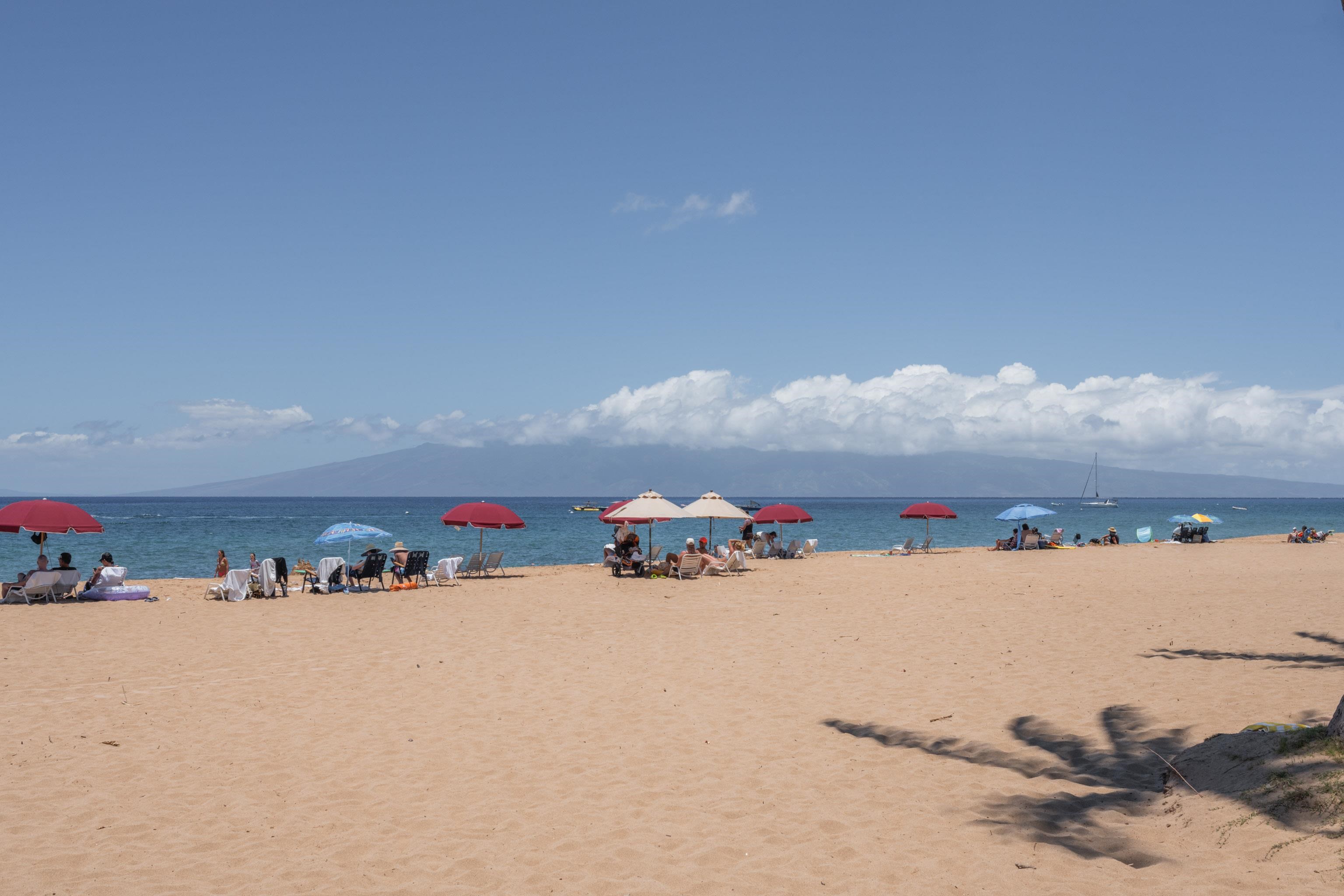 Kaanapali Alii condo # 3-1103, Lahaina, Hawaii - photo 43 of 50