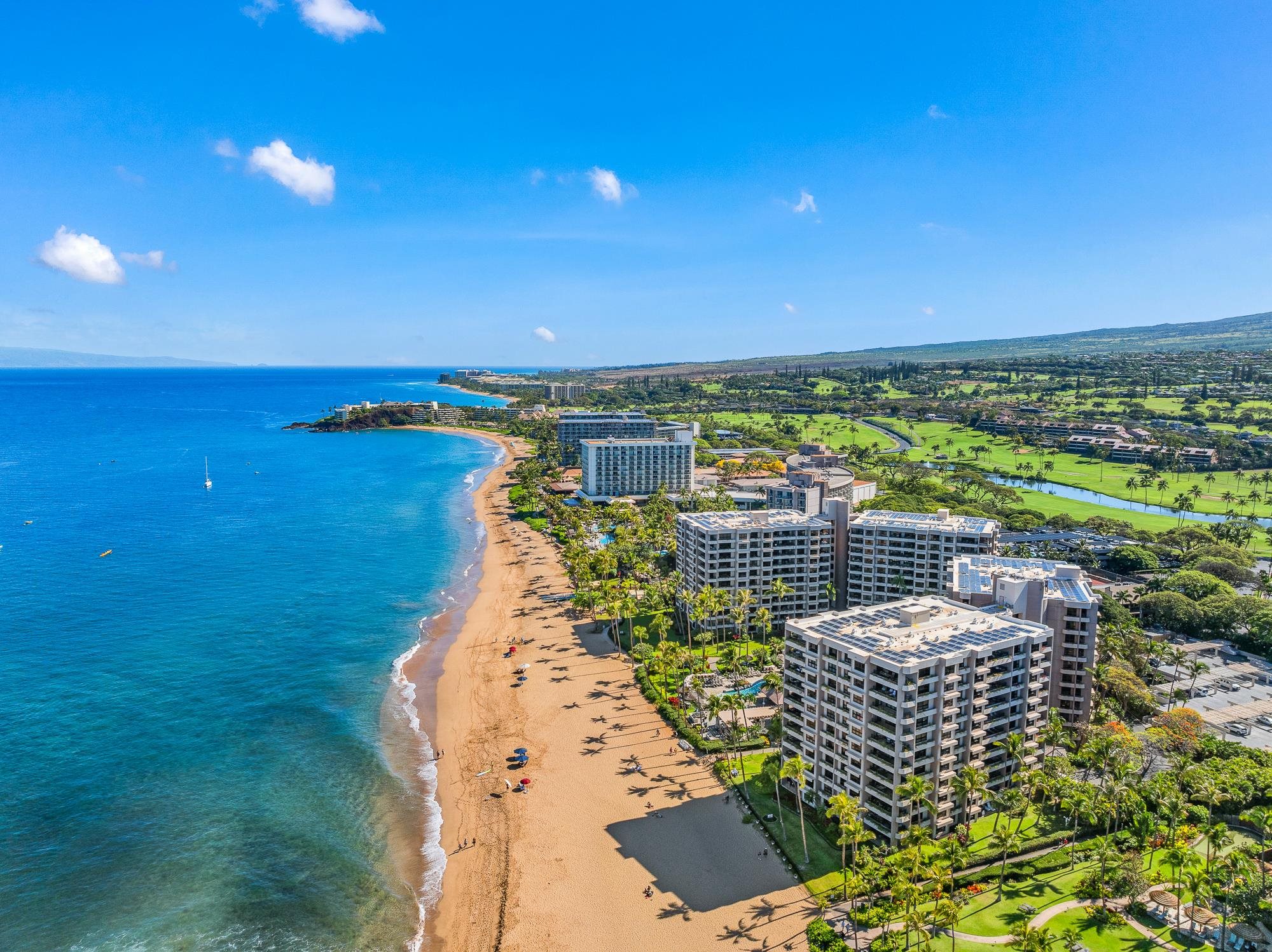 Kaanapali Alii condo # 3-1103, Lahaina, Hawaii - photo 29 of 50