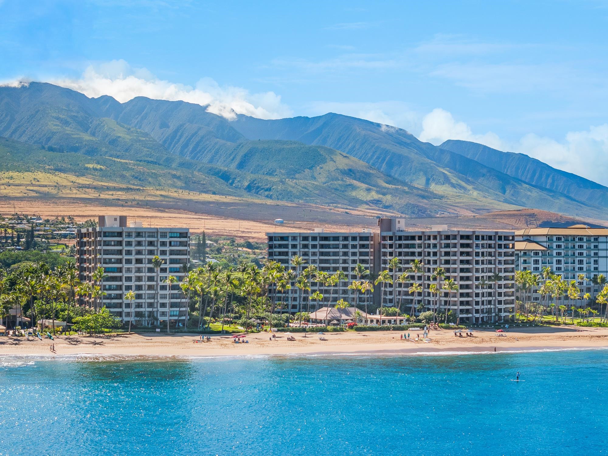 Kaanapali Alii condo # 3-1103, Lahaina, Hawaii - photo 33 of 50