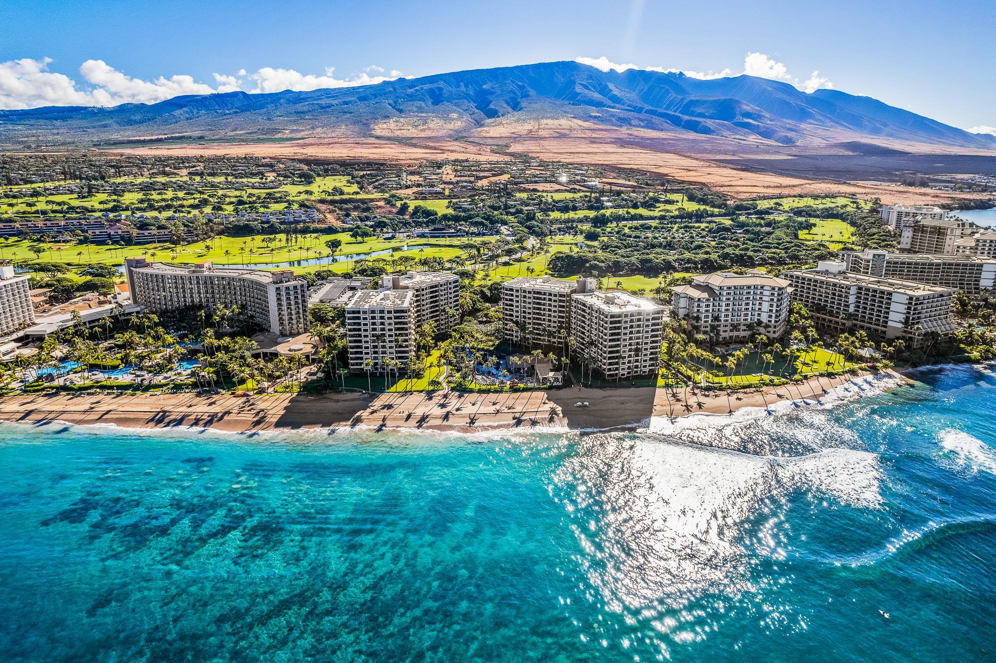 Kaanapali Alii condo # 3-1103, Lahaina, Hawaii - photo 37 of 50