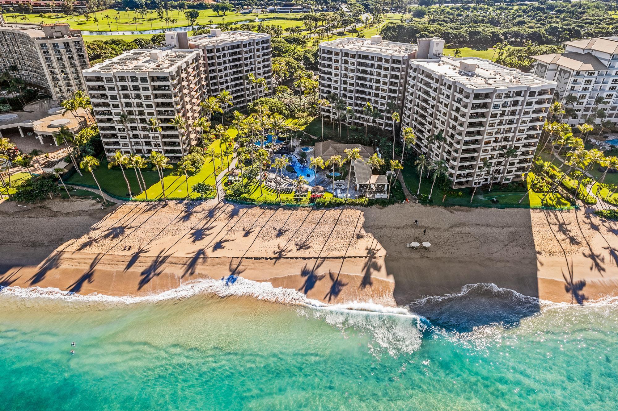 Kaanapali Alii condo # 3-1103, Lahaina, Hawaii - photo 38 of 50