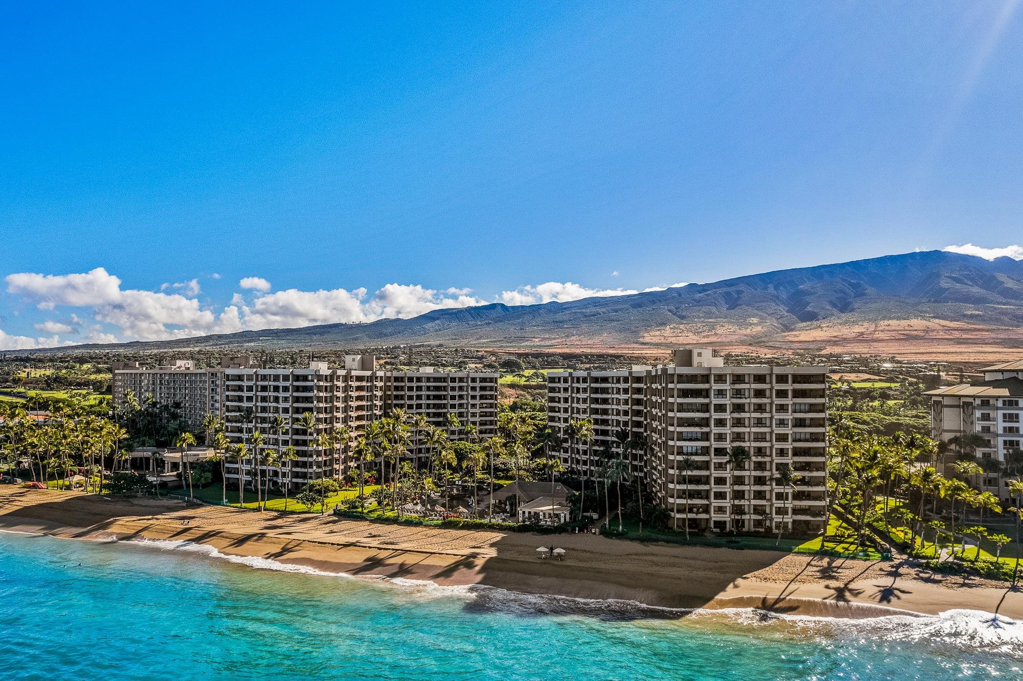 Kaanapali Alii condo # 3-1103, Lahaina, Hawaii - photo 41 of 50