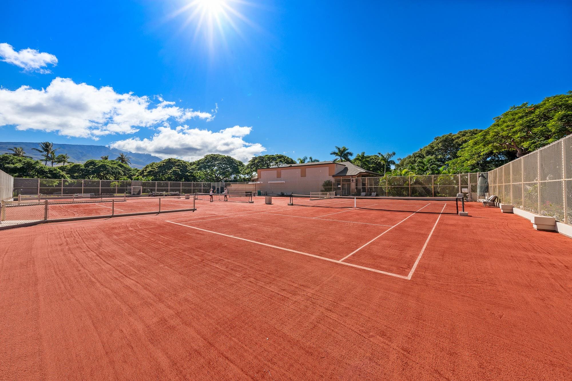 Kaanapali Alii condo # 3-1103, Lahaina, Hawaii - photo 50 of 50