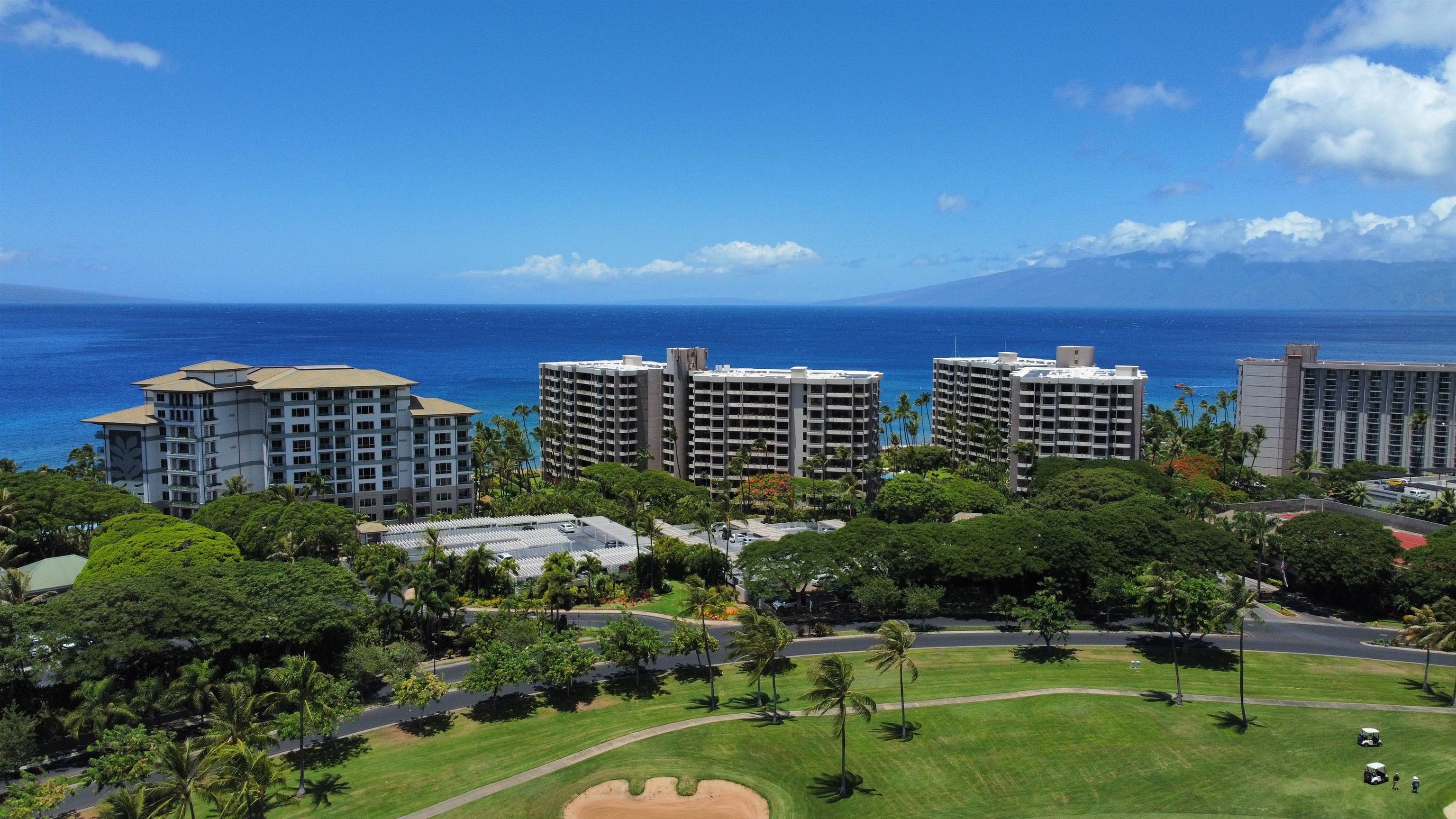 Kaanapali Alii condo # 3-1104, Lahaina, Hawaii - photo 38 of 38