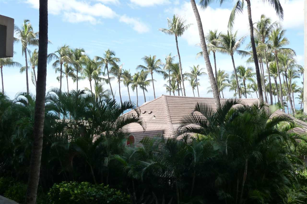 Kaanapali Alii condo # 3-201, Lahaina, Hawaii - photo 14 of 20