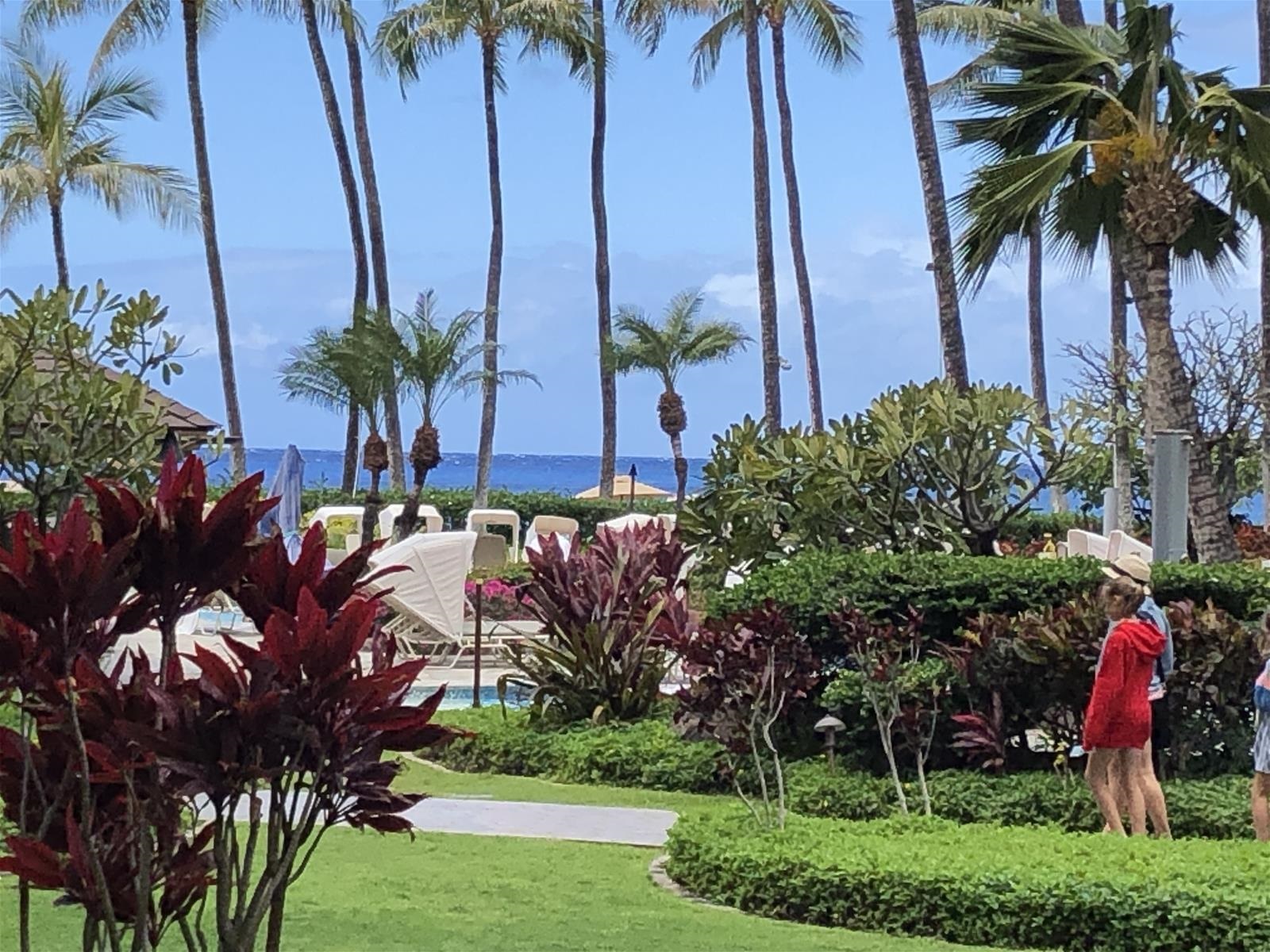 Kaanapali Alii condo # 416, Lahaina, Hawaii - photo 3 of 39