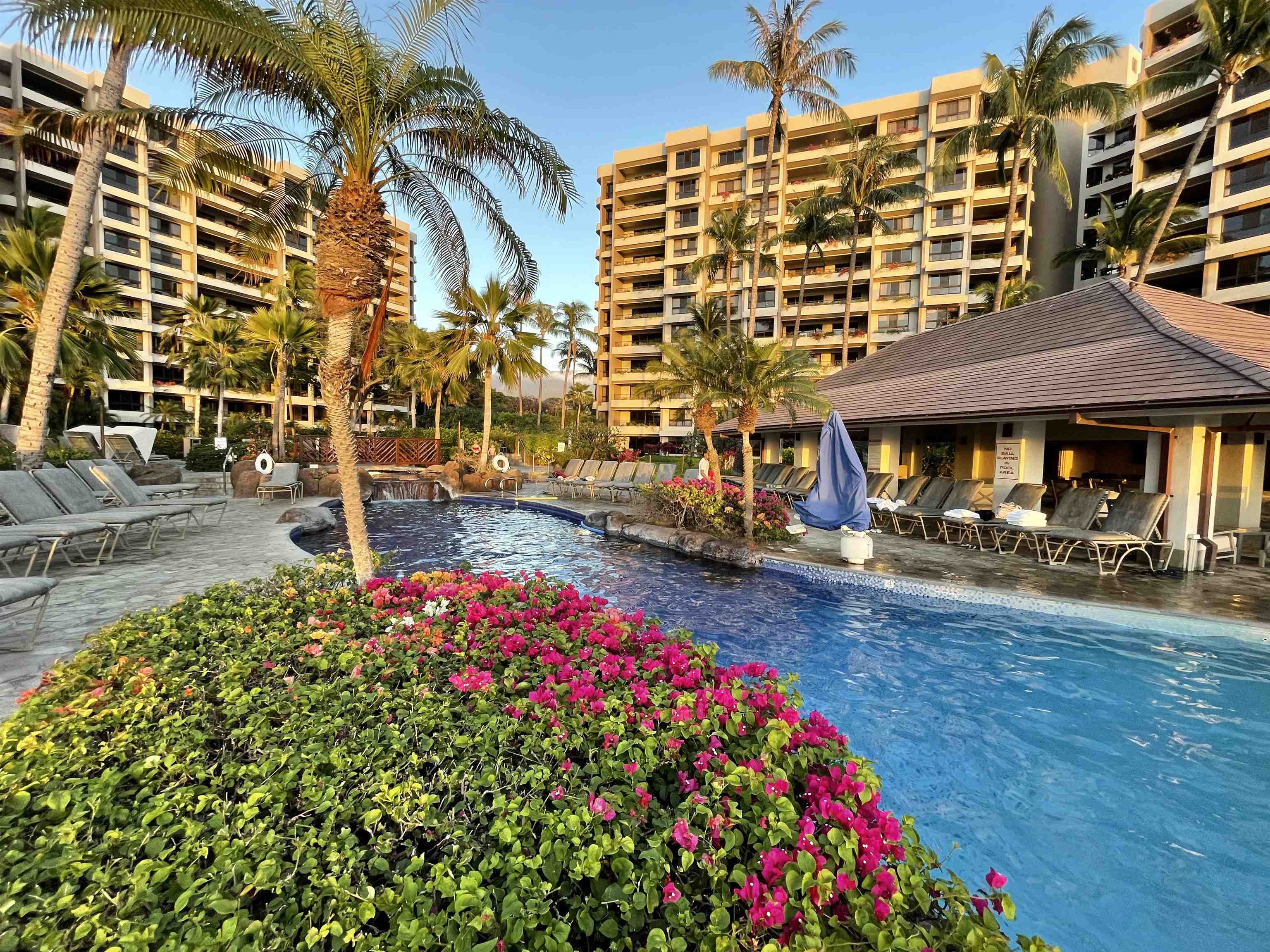 Kaanapali Alii condo # 416, Lahaina, Hawaii - photo 38 of 39