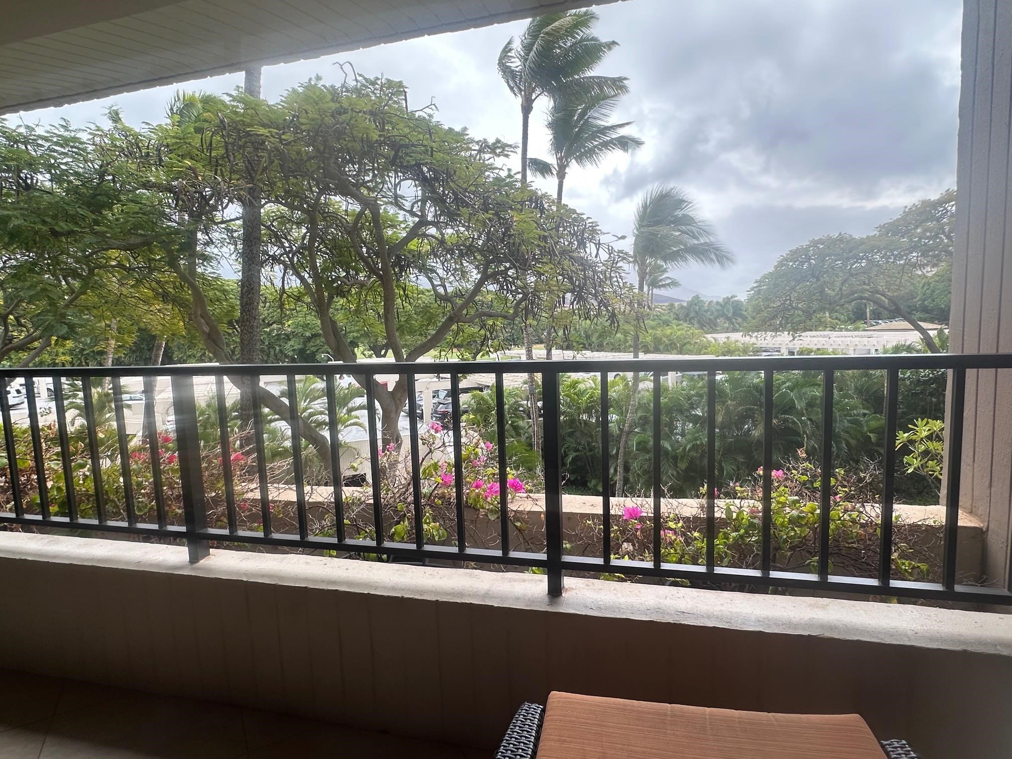 Kaanapali Alii condo # 4-303, Lahaina, Hawaii - photo 24 of 26