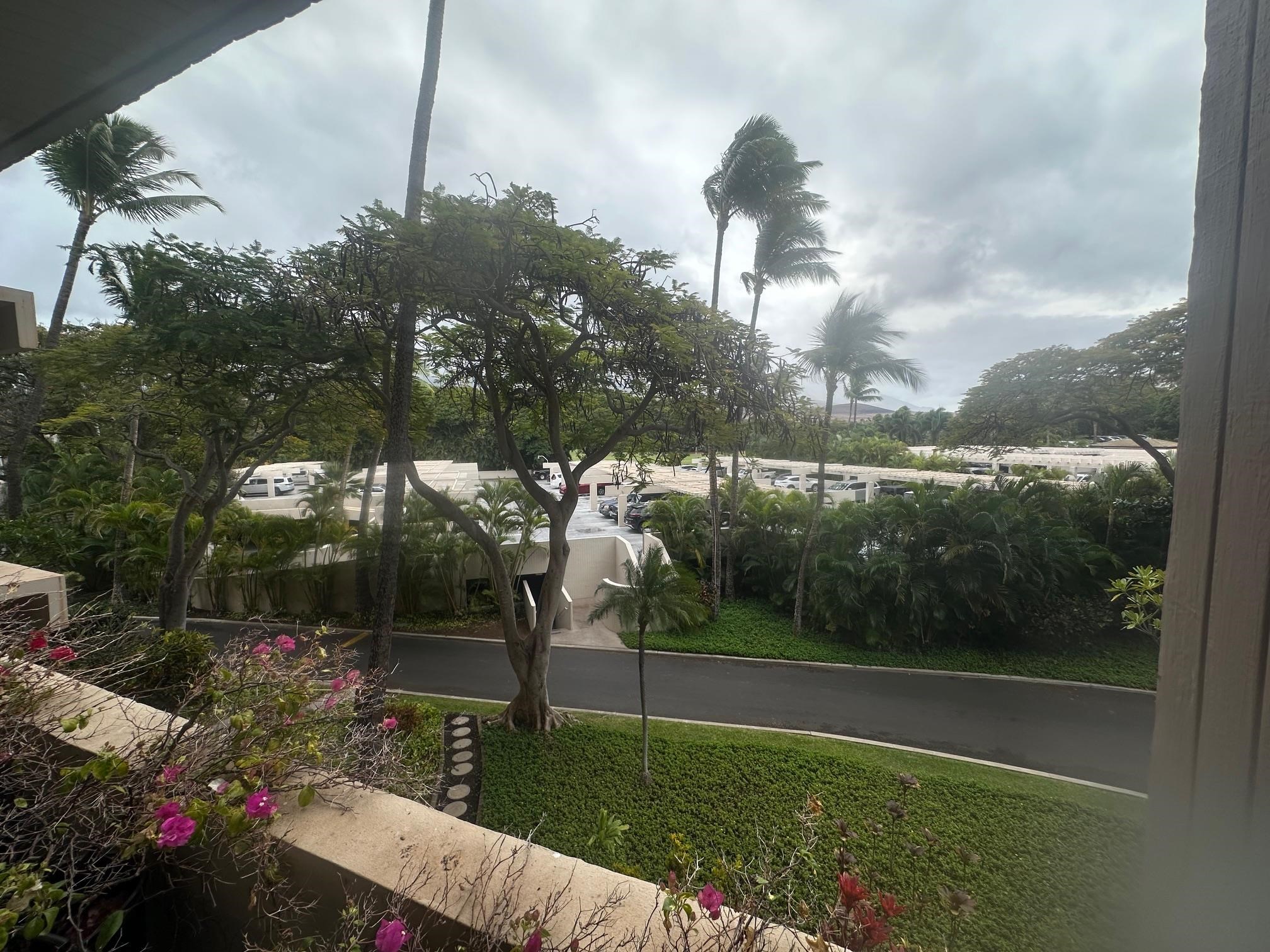 Kaanapali Alii condo # 4-303, Lahaina, Hawaii - photo 26 of 26