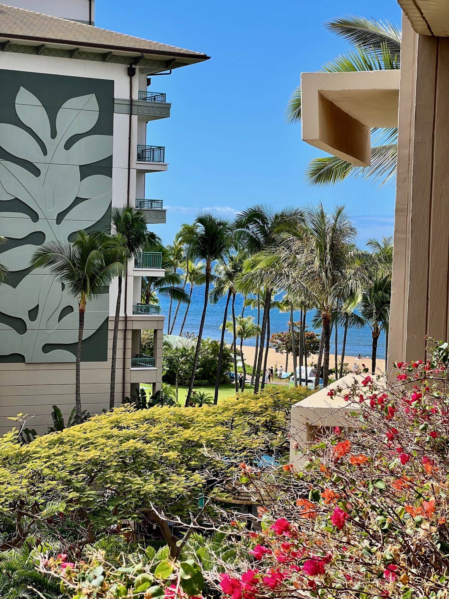 Kaanapali Alii condo # 4-603, Lahaina, Hawaii - photo 3 of 45