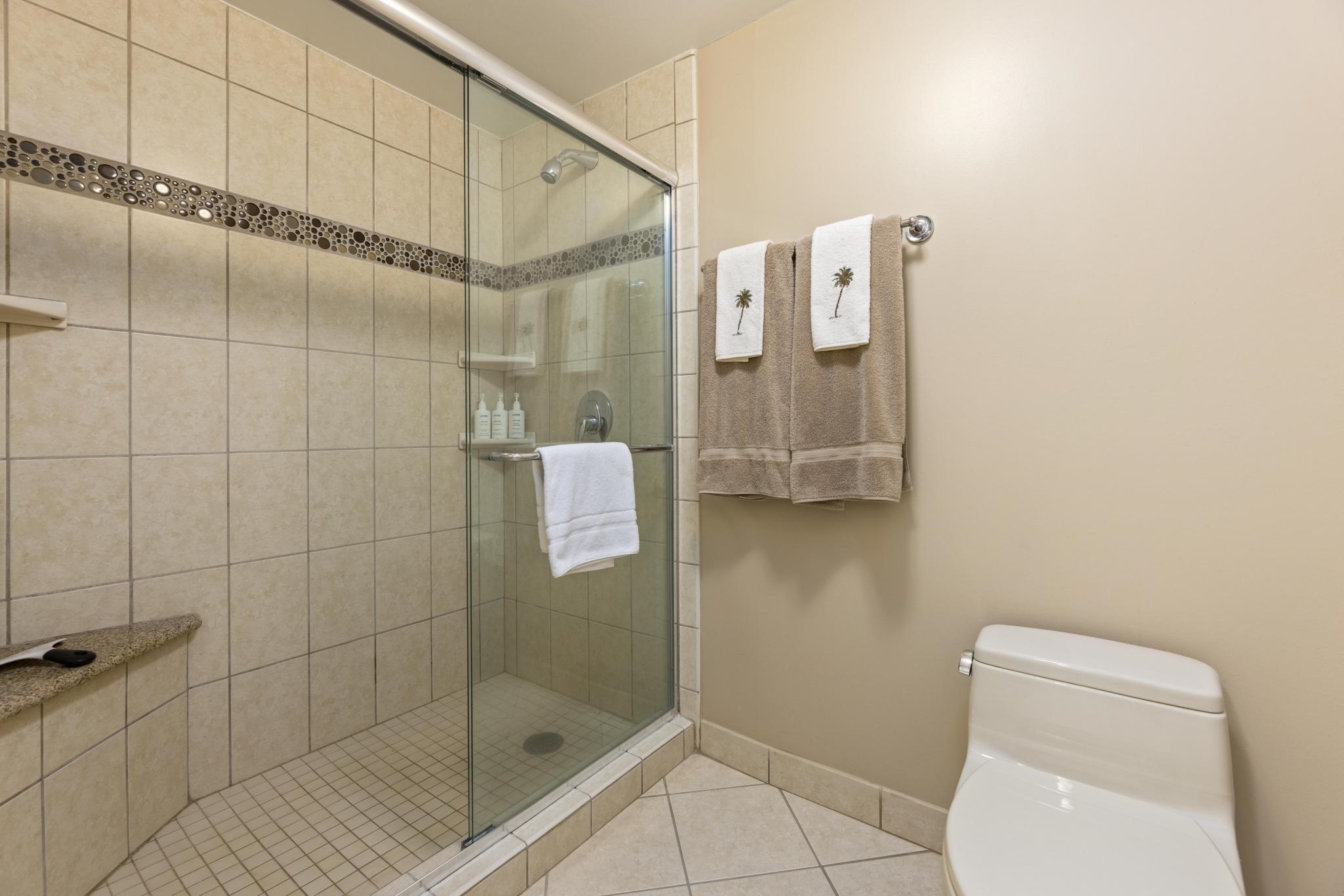 Kaanapali Alii condo # 4-603, Lahaina, Hawaii - photo 23 of 45