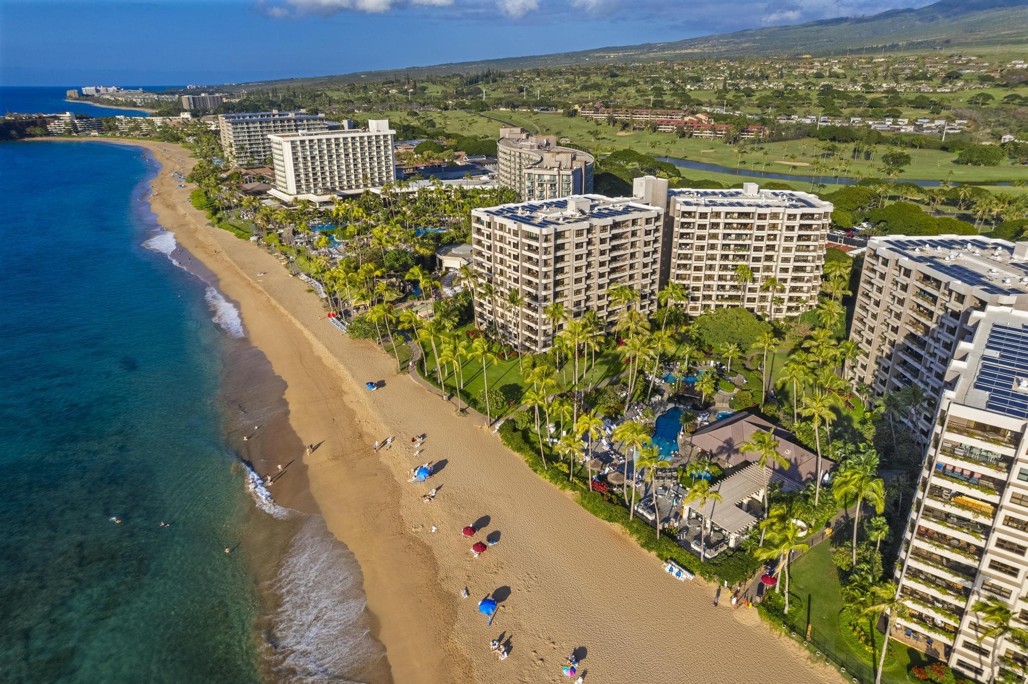 Kaanapali Alii condo # 4-603, Lahaina, Hawaii - photo 39 of 45