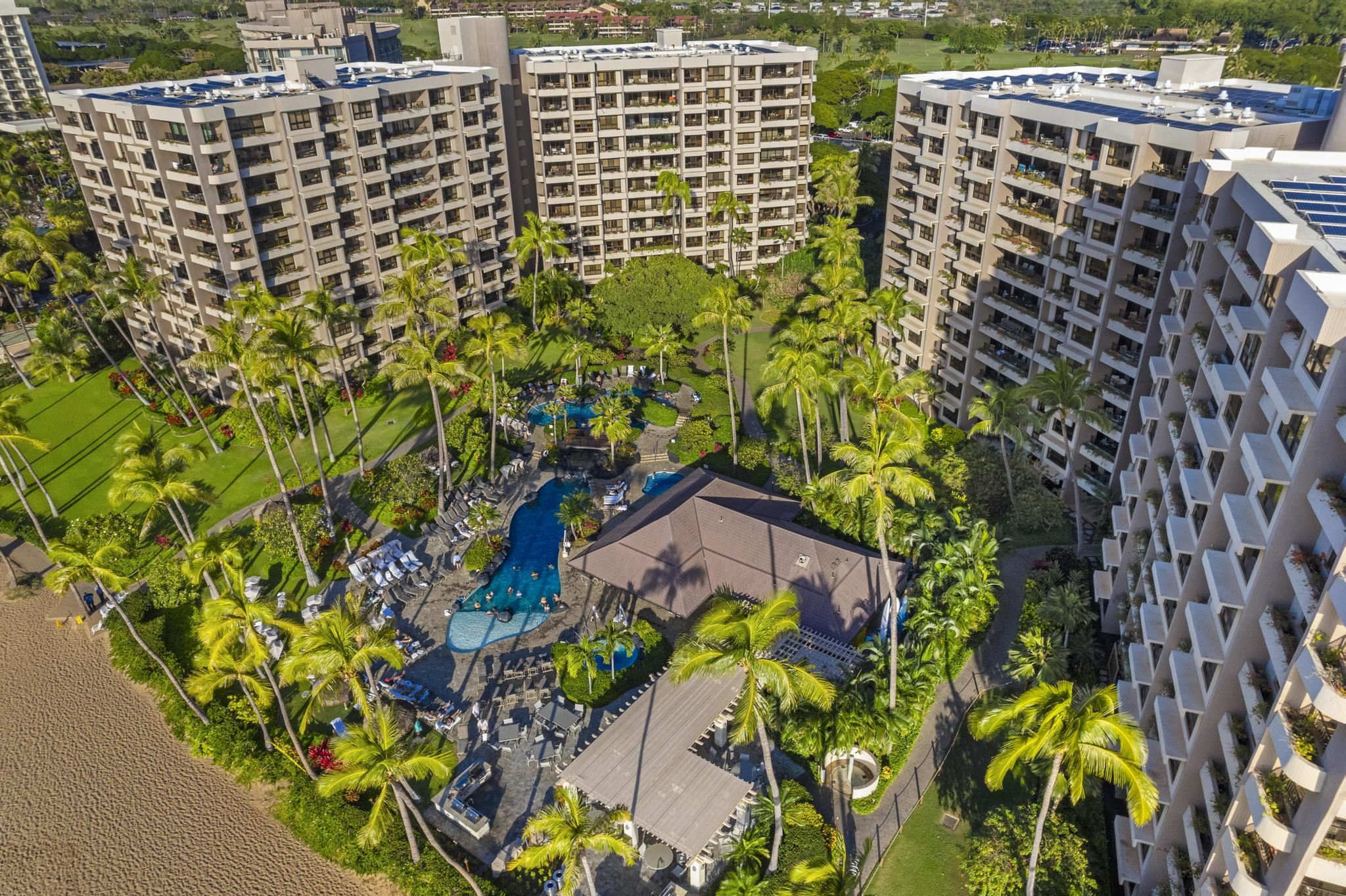 Kaanapali Alii condo # 4-603, Lahaina, Hawaii - photo 40 of 45