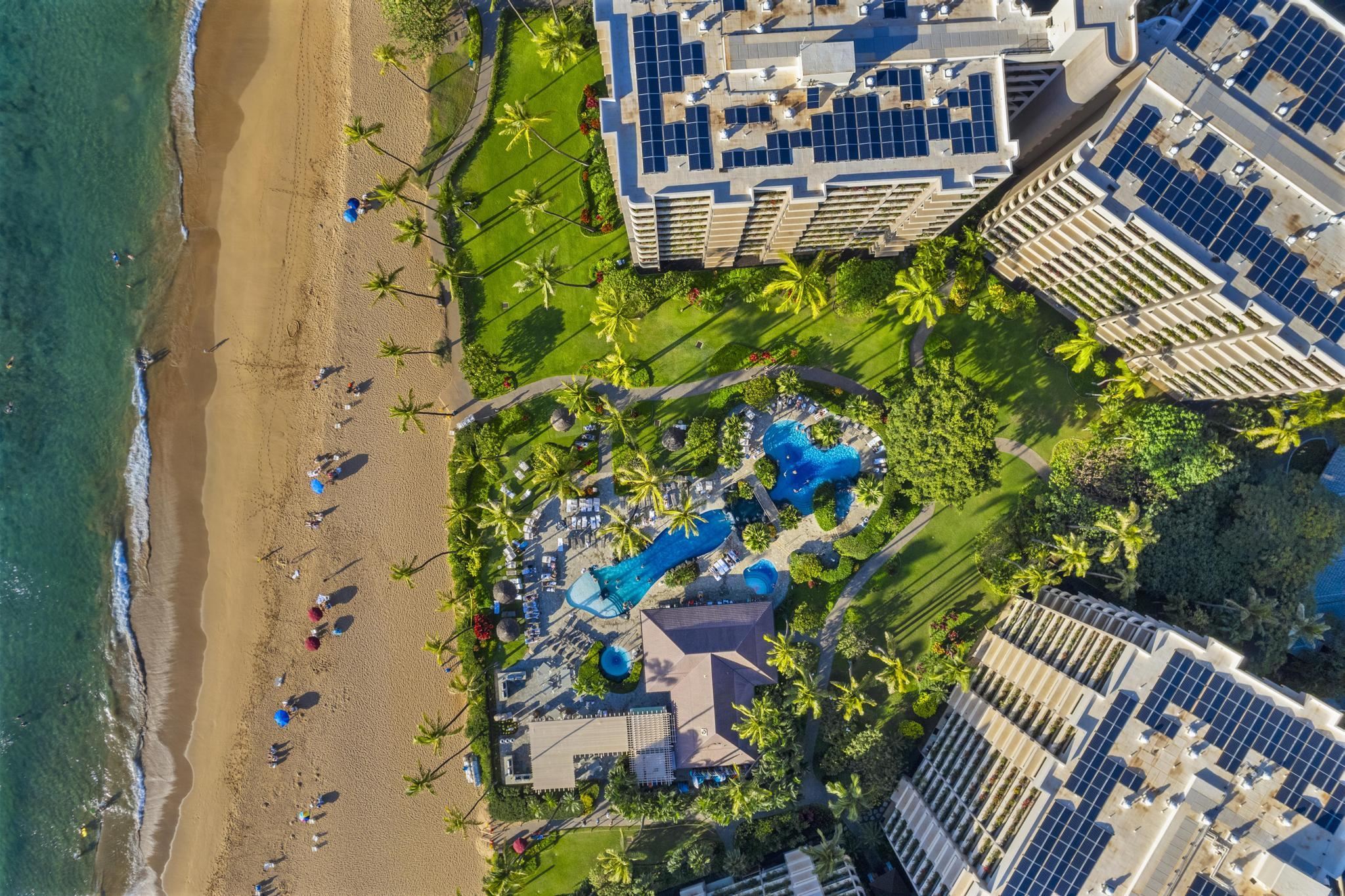 Kaanapali Alii condo # 4-603, Lahaina, Hawaii - photo 41 of 45