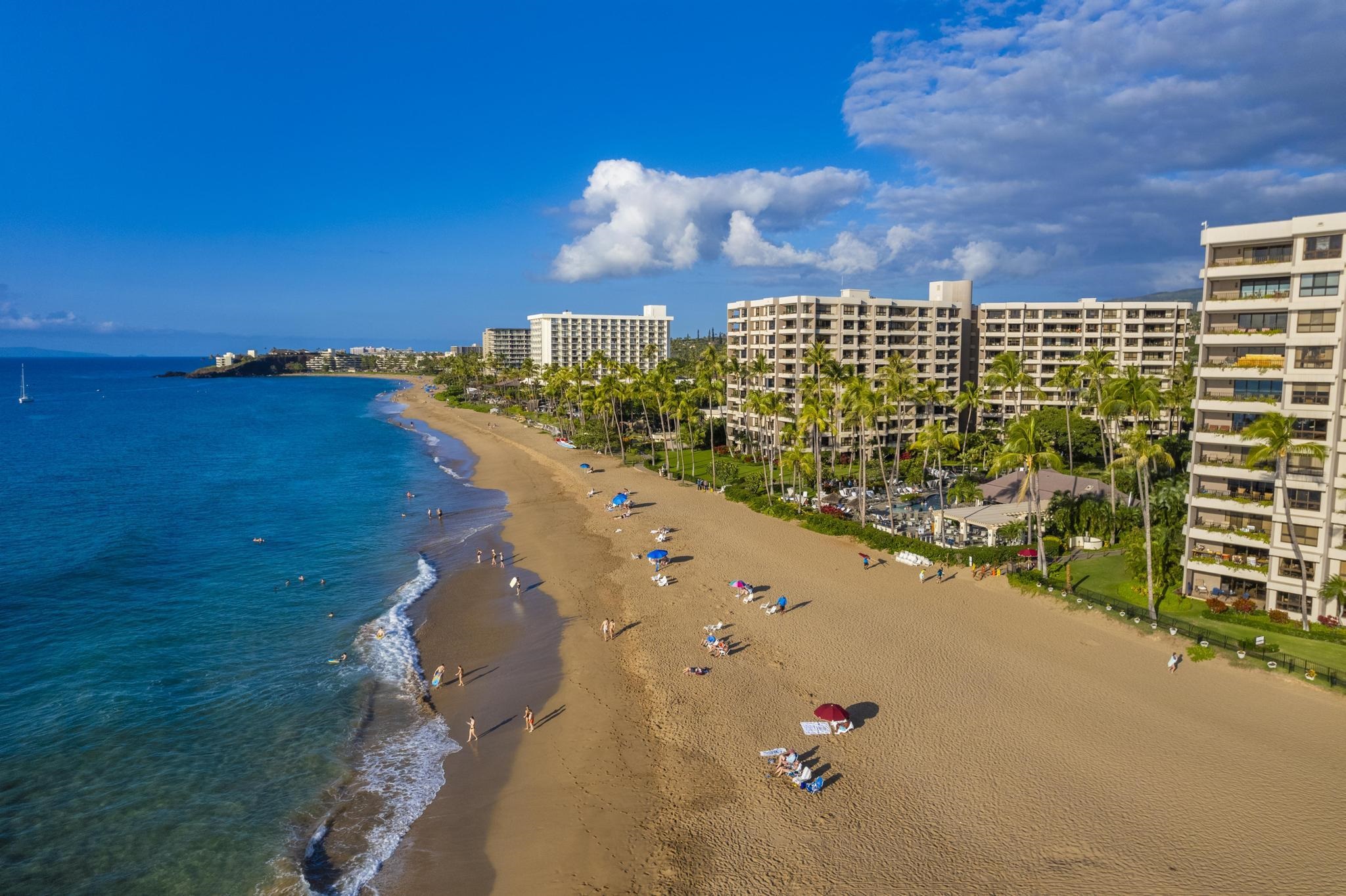 Kaanapali Alii condo # 4-603, Lahaina, Hawaii - photo 44 of 45