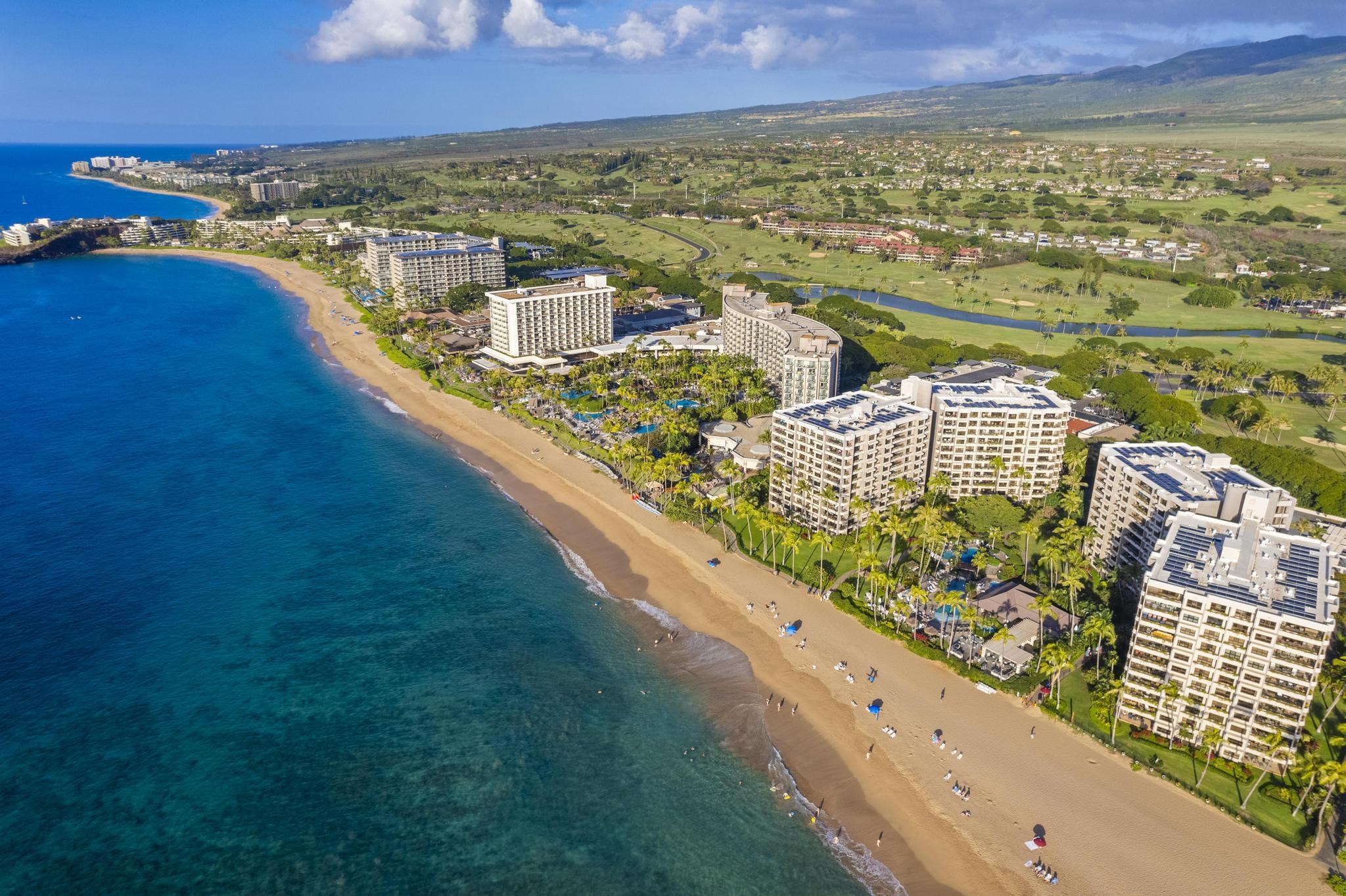 Kaanapali Alii condo # 4-603, Lahaina, Hawaii - photo 45 of 45