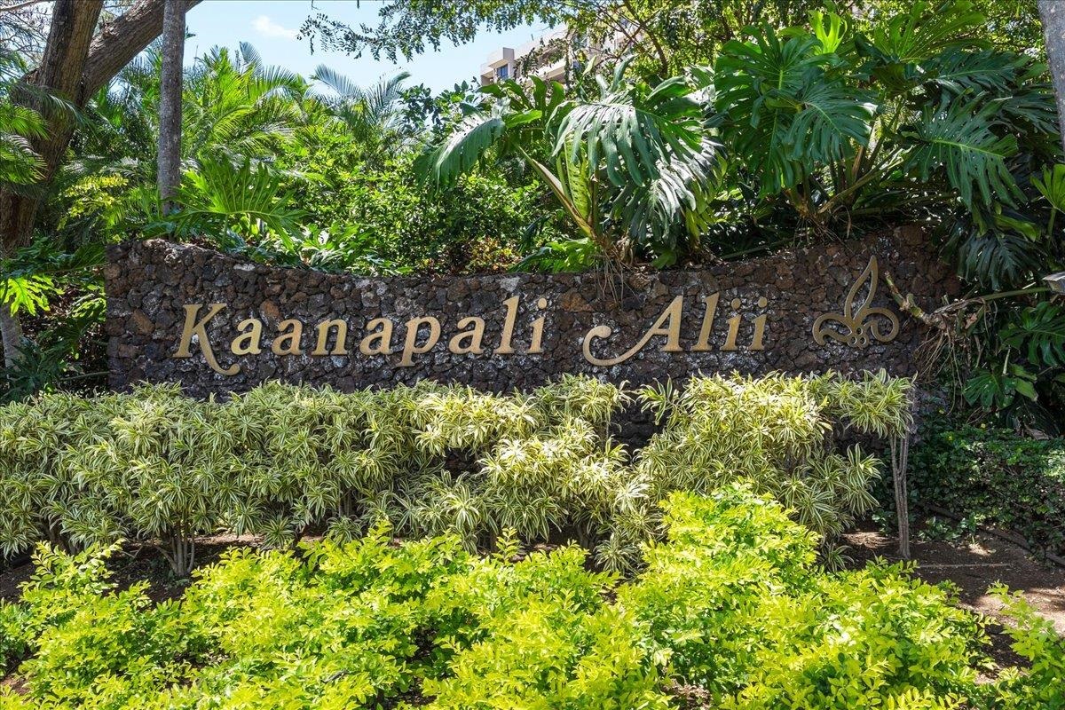 Kaanapali Alii condo # 4-605, Lahaina, Hawaii - photo 43 of 43