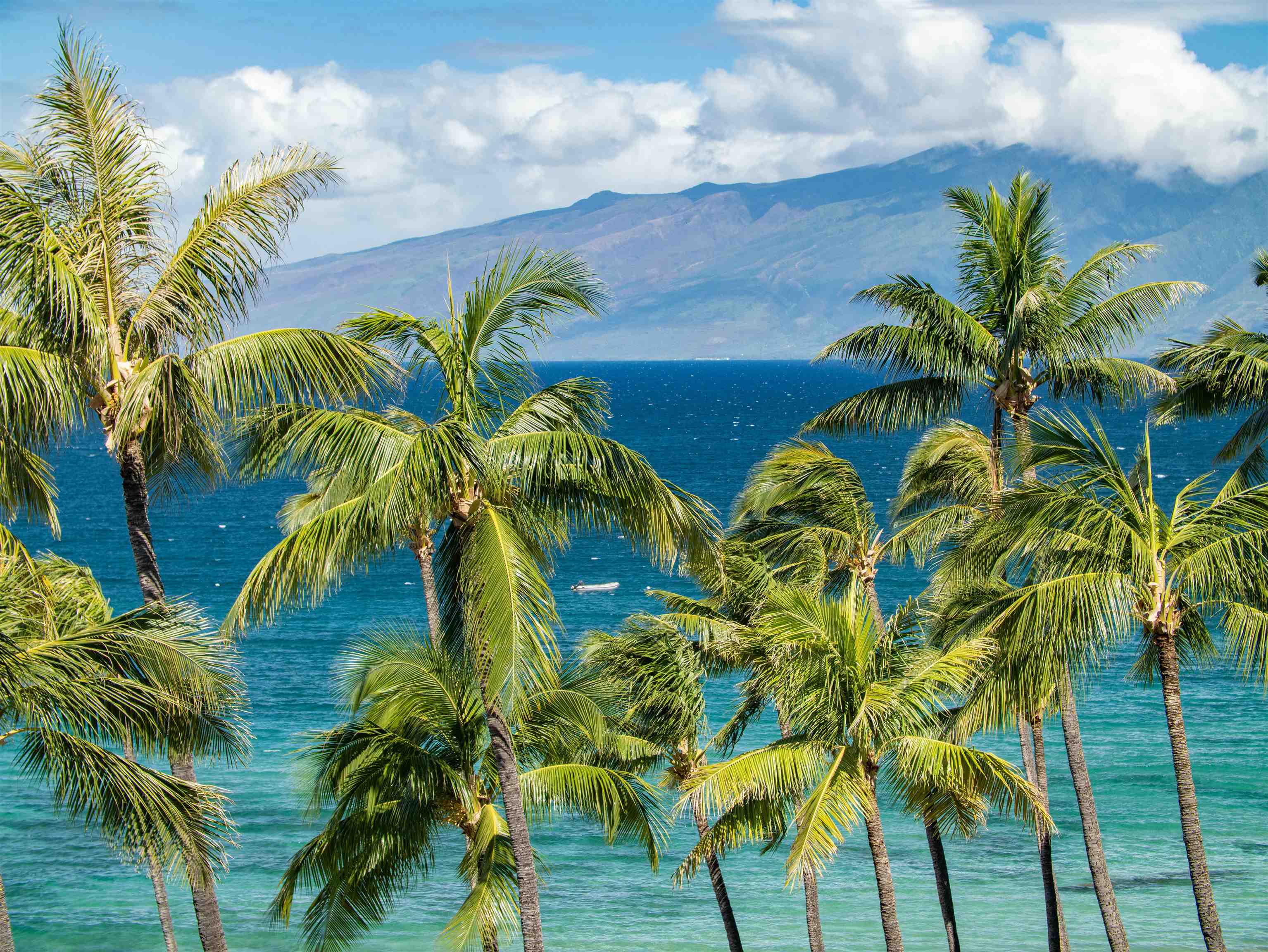 Kaanapali Alii condo # 4-706, Lahaina, Hawaii - photo 42 of 50